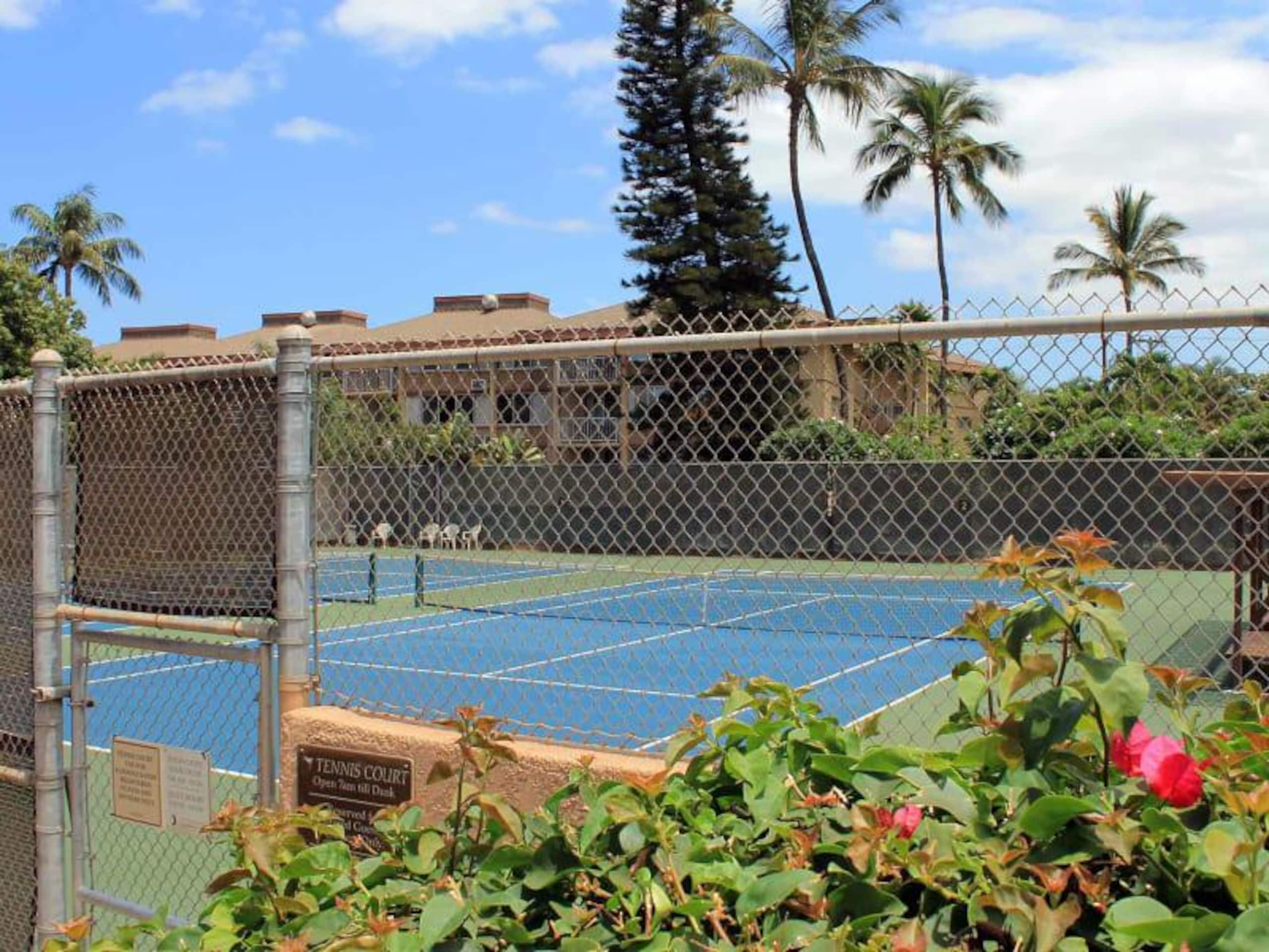 Condo in Kihei · ★4.8 · 2 bedrooms · 3 beds · 2 shared baths - Image 62
