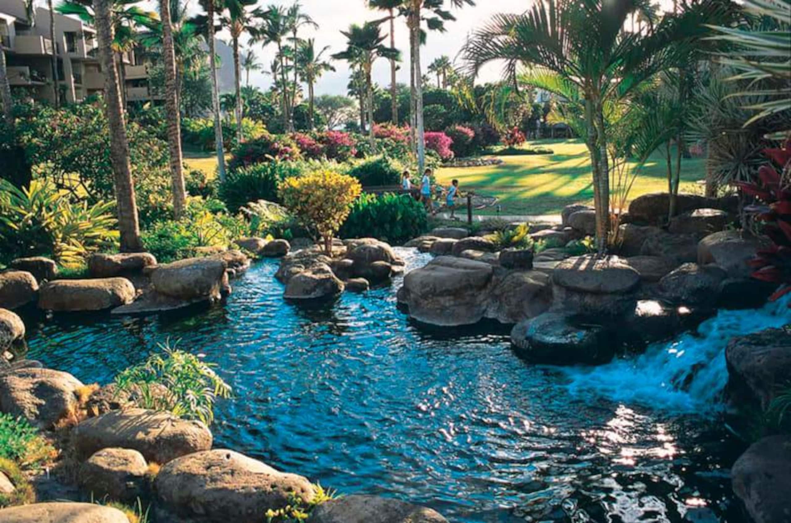 Condo in Kihei · ★4.8 · 2 bedrooms · 3 beds · 2 shared baths - Image 58
