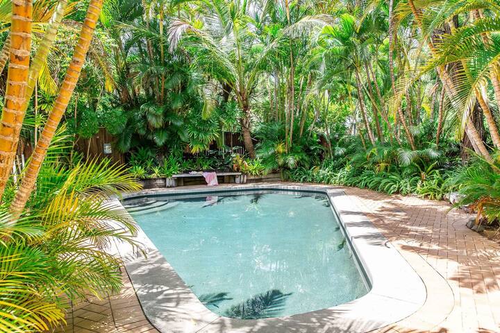 Little Cove Treetops – style and amazing location gallery image 5