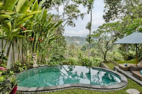 Wonderful Hidden Villa with Private Pool