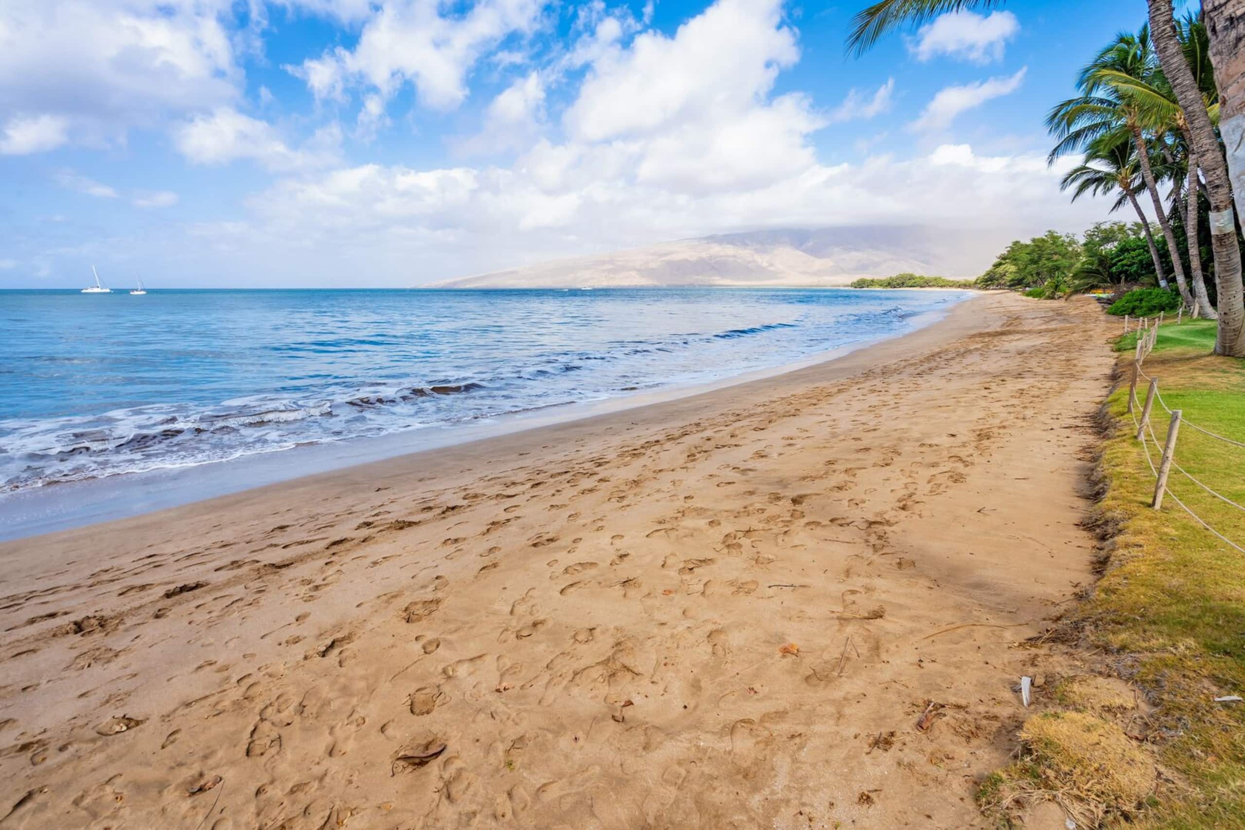 Condo in Kihei · ★4.55 · 1 bedroom · 2 beds · 1 bath - Image 48