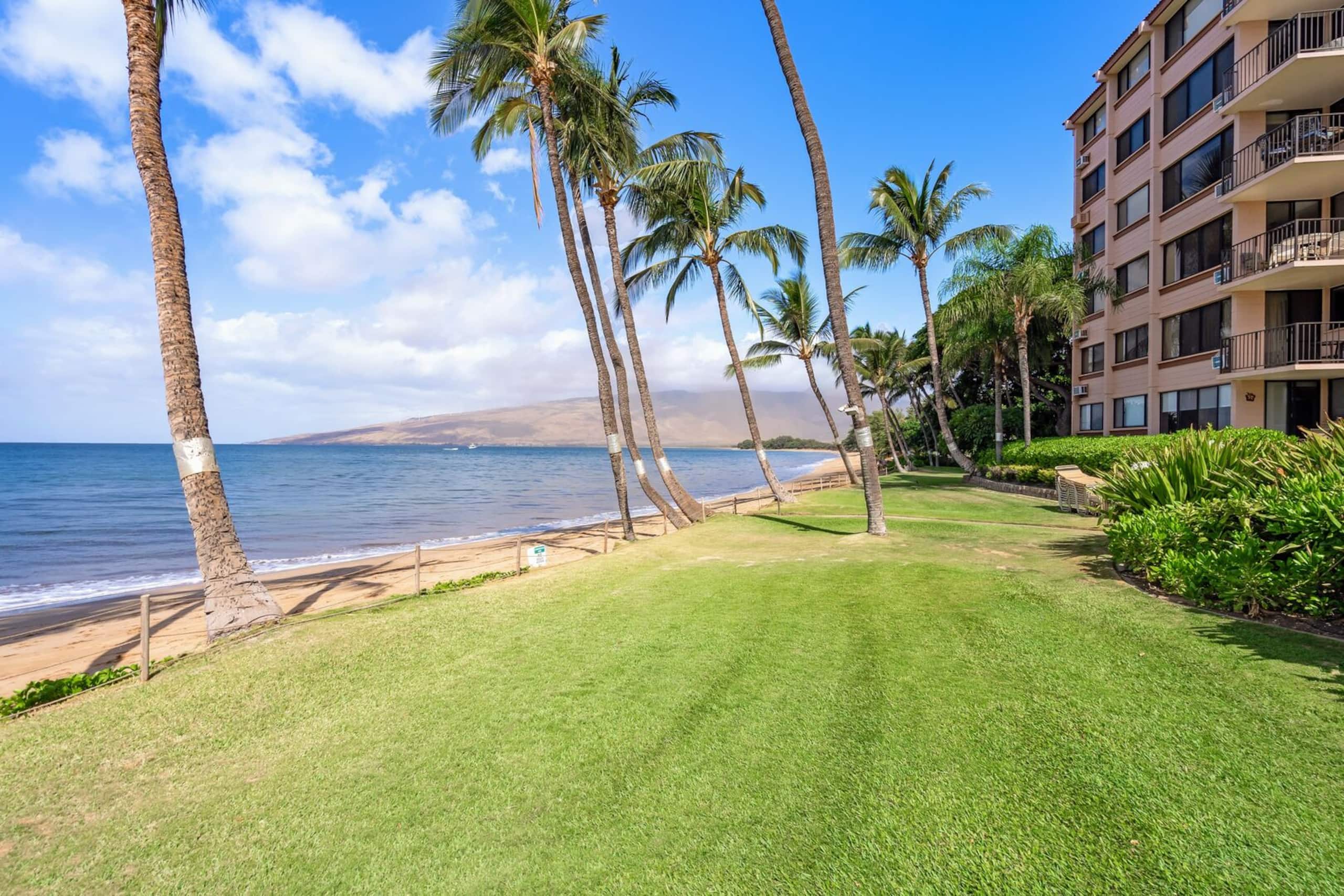 Condo in Kihei · ★4.55 · 1 bedroom · 2 beds · 1 bath - Image 51