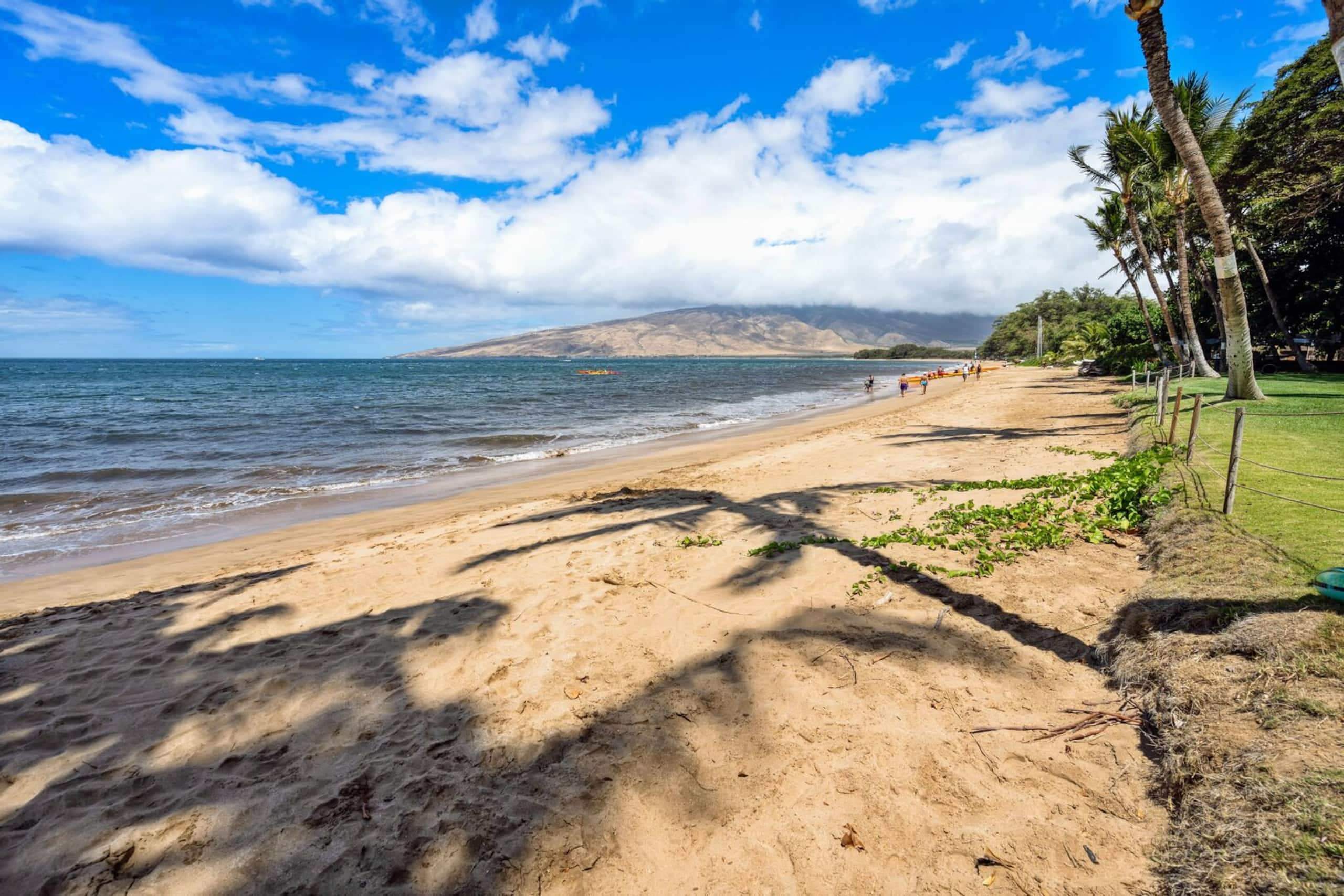 Condo in Kihei · ★4.55 · 1 bedroom · 2 beds · 1 bath - Image 25