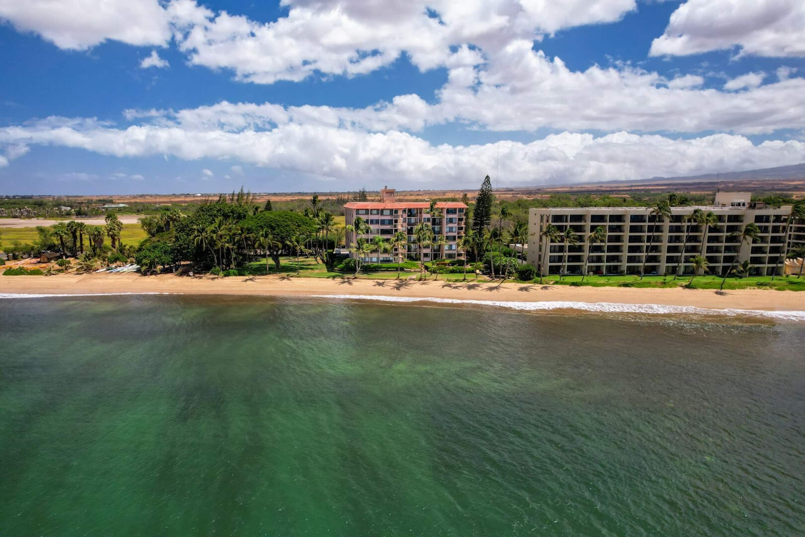 Condo in Kihei · ★4.55 · 1 bedroom · 2 beds · 1 bath - Image 39