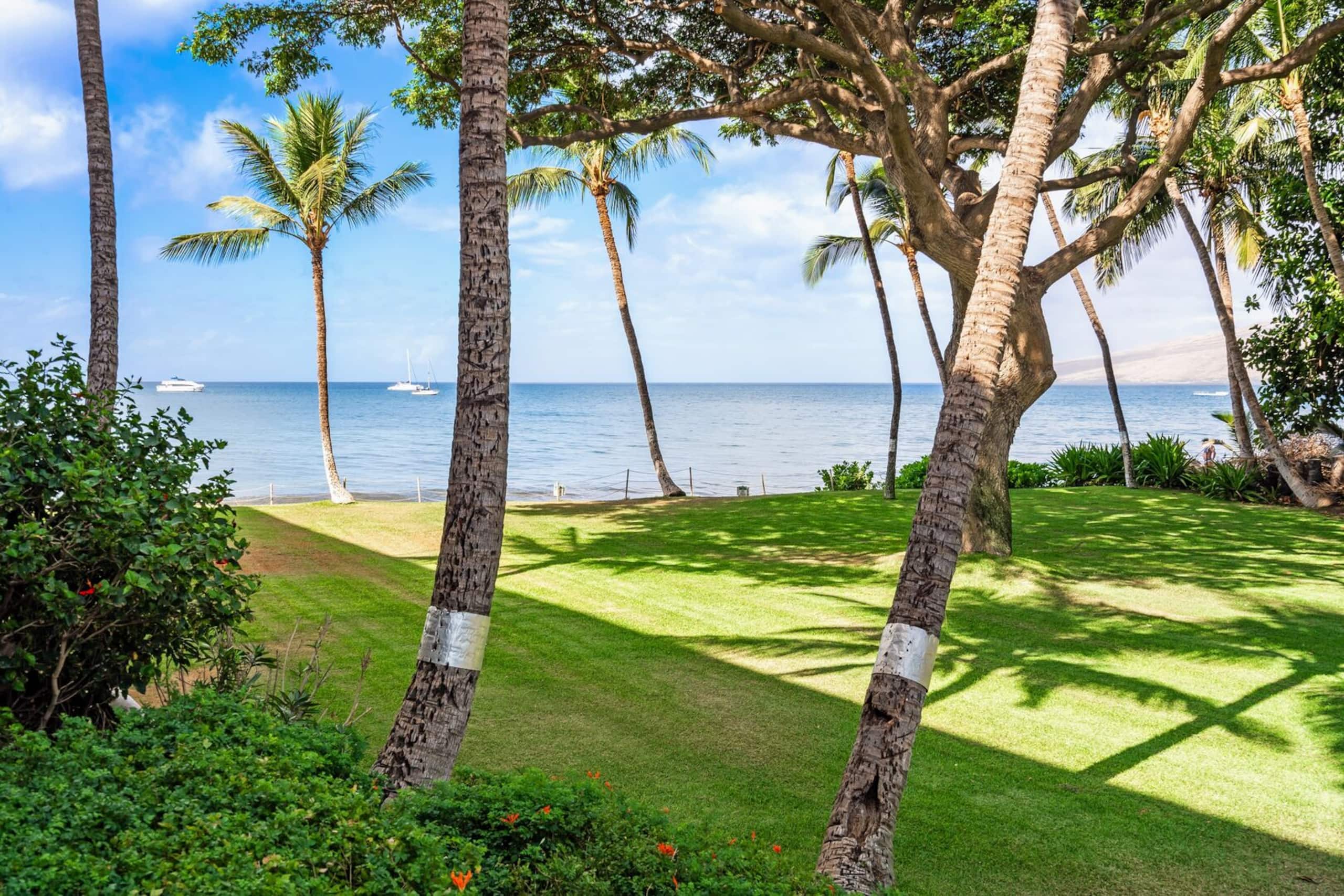 Condo in Kihei · ★4.55 · 1 bedroom · 2 beds · 1 bath - Image 52