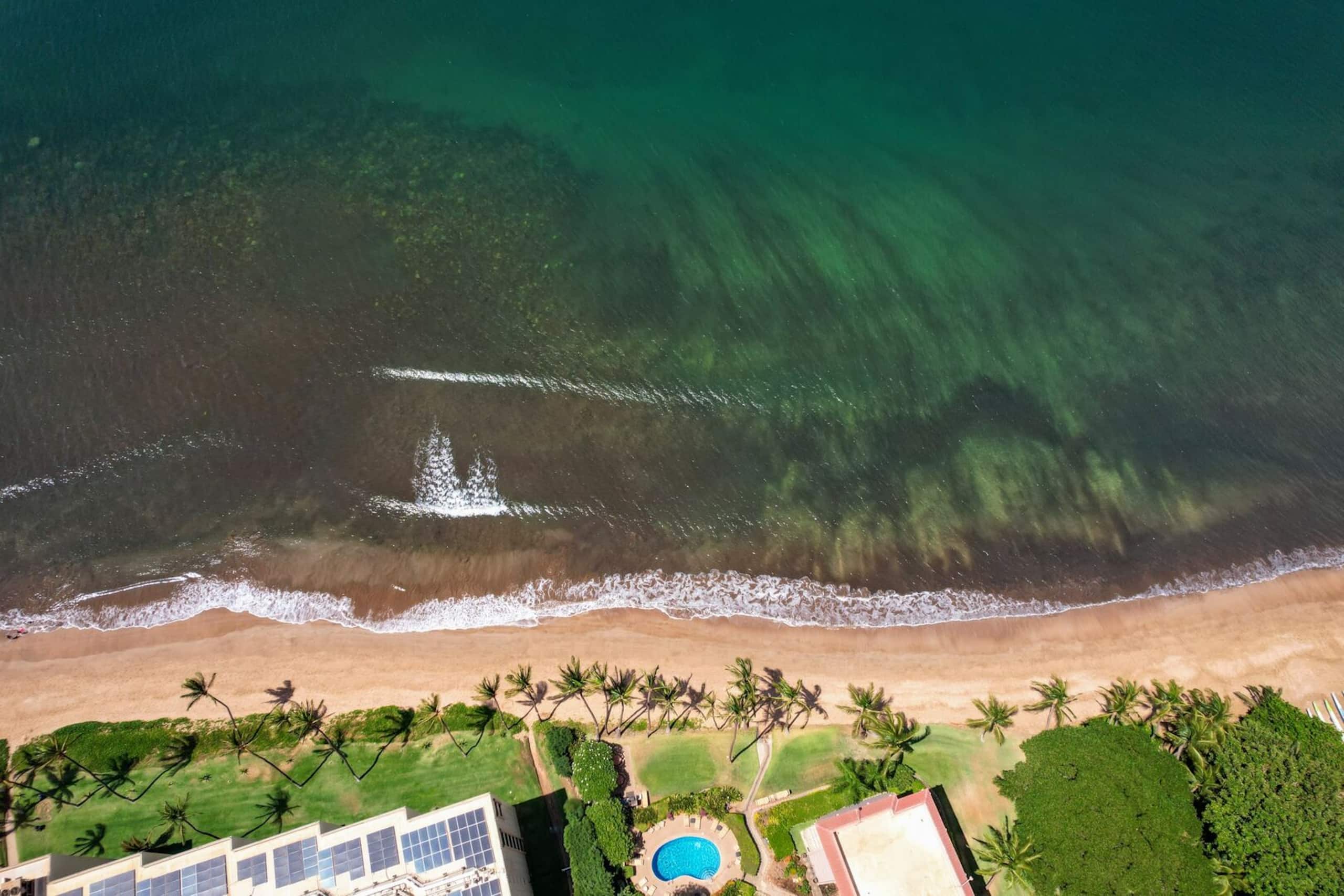Condo in Kihei · ★4.55 · 1 bedroom · 2 beds · 1 bath - Image 38