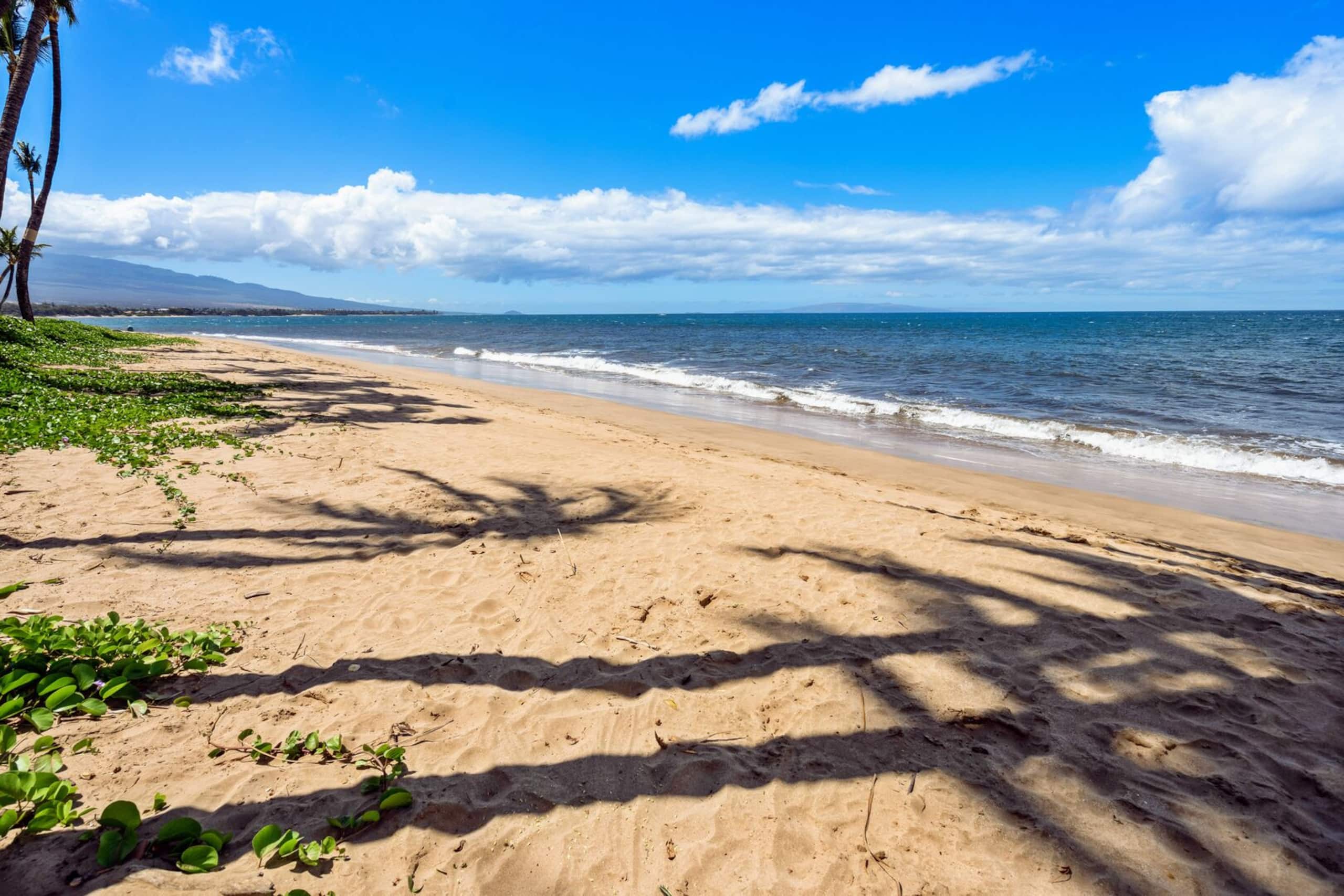 Condo in Kihei · ★4.55 · 1 bedroom · 2 beds · 1 bath - Image 26