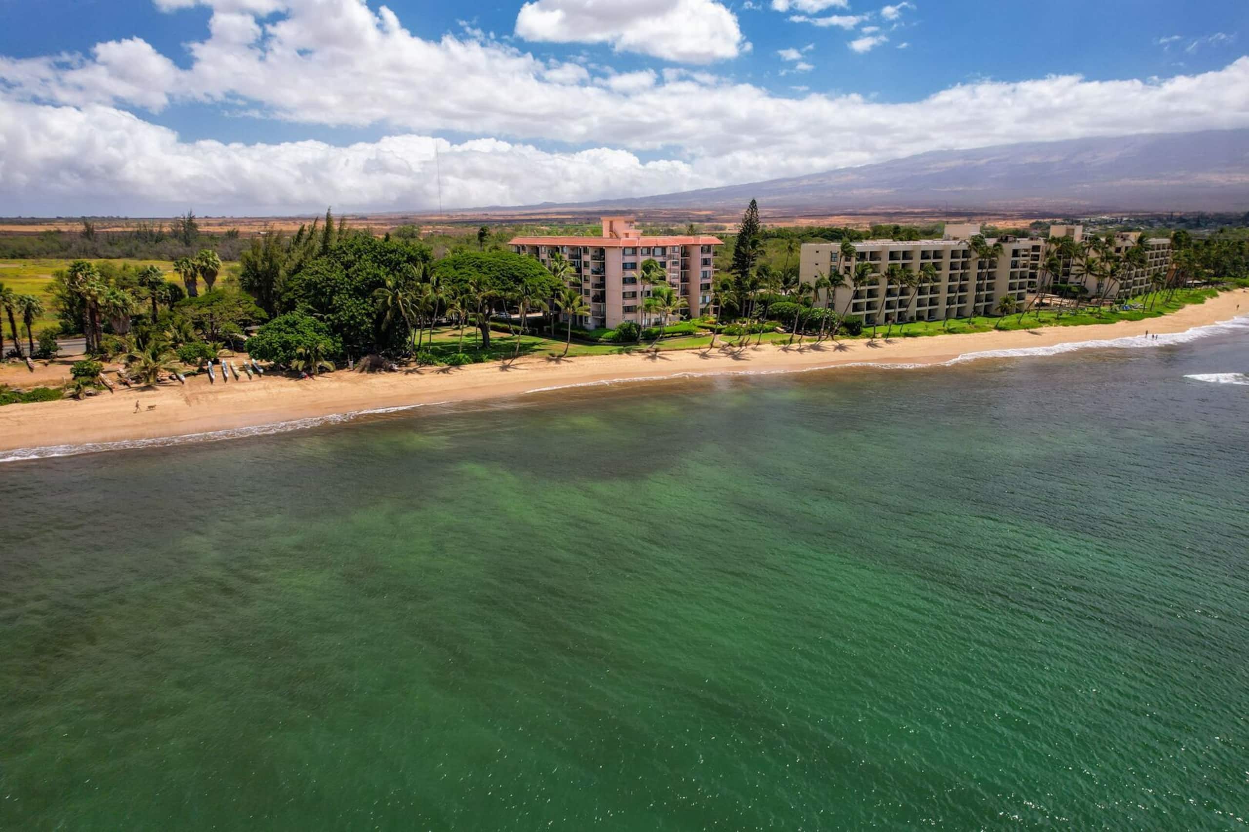 Condo in Kihei · ★4.55 · 1 bedroom · 2 beds · 1 bath - Image 40