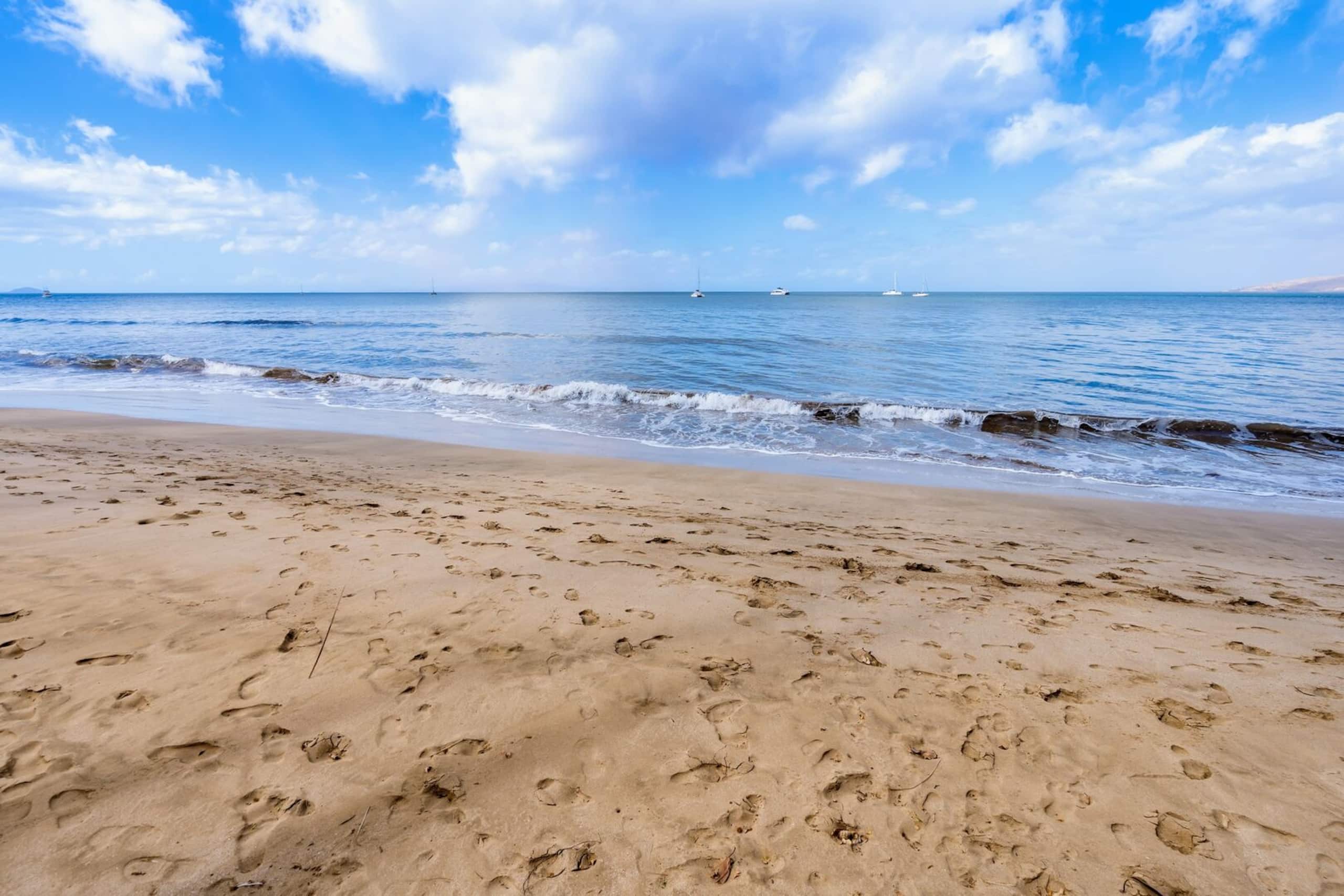Condo in Kihei · ★4.55 · 1 bedroom · 2 beds · 1 bath - Image 49