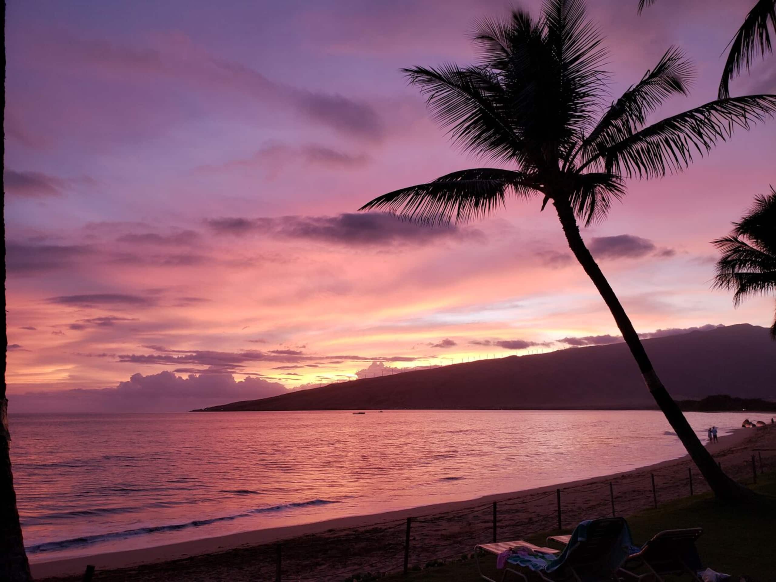Condo in Kihei · ★4.55 · 1 bedroom · 2 beds · 1 bath - Image 4