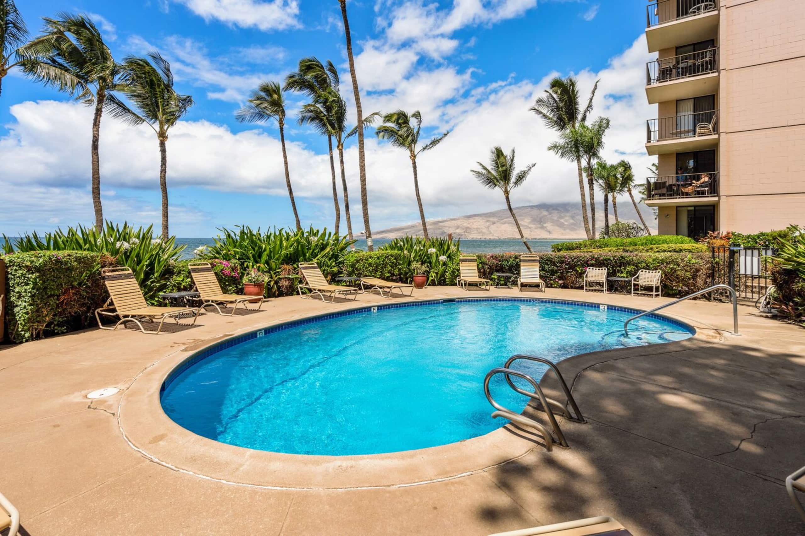 Condo in Kihei · ★4.55 · 1 bedroom · 2 beds · 1 bath - Image 43