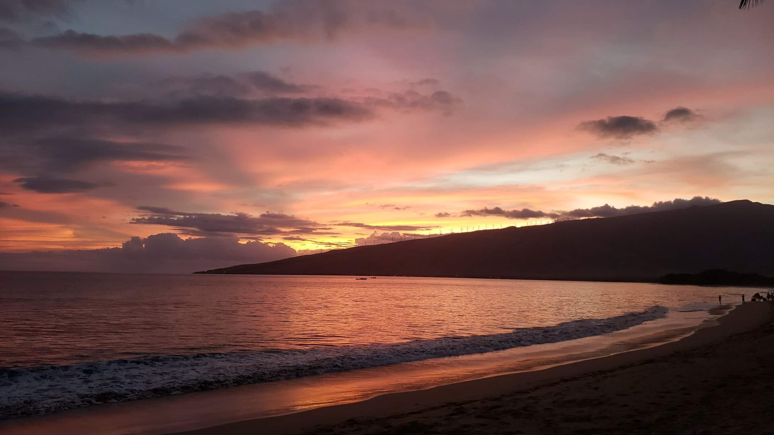 Condo in Kihei · ★4.55 · 1 bedroom · 2 beds · 1 bath - Image 16
