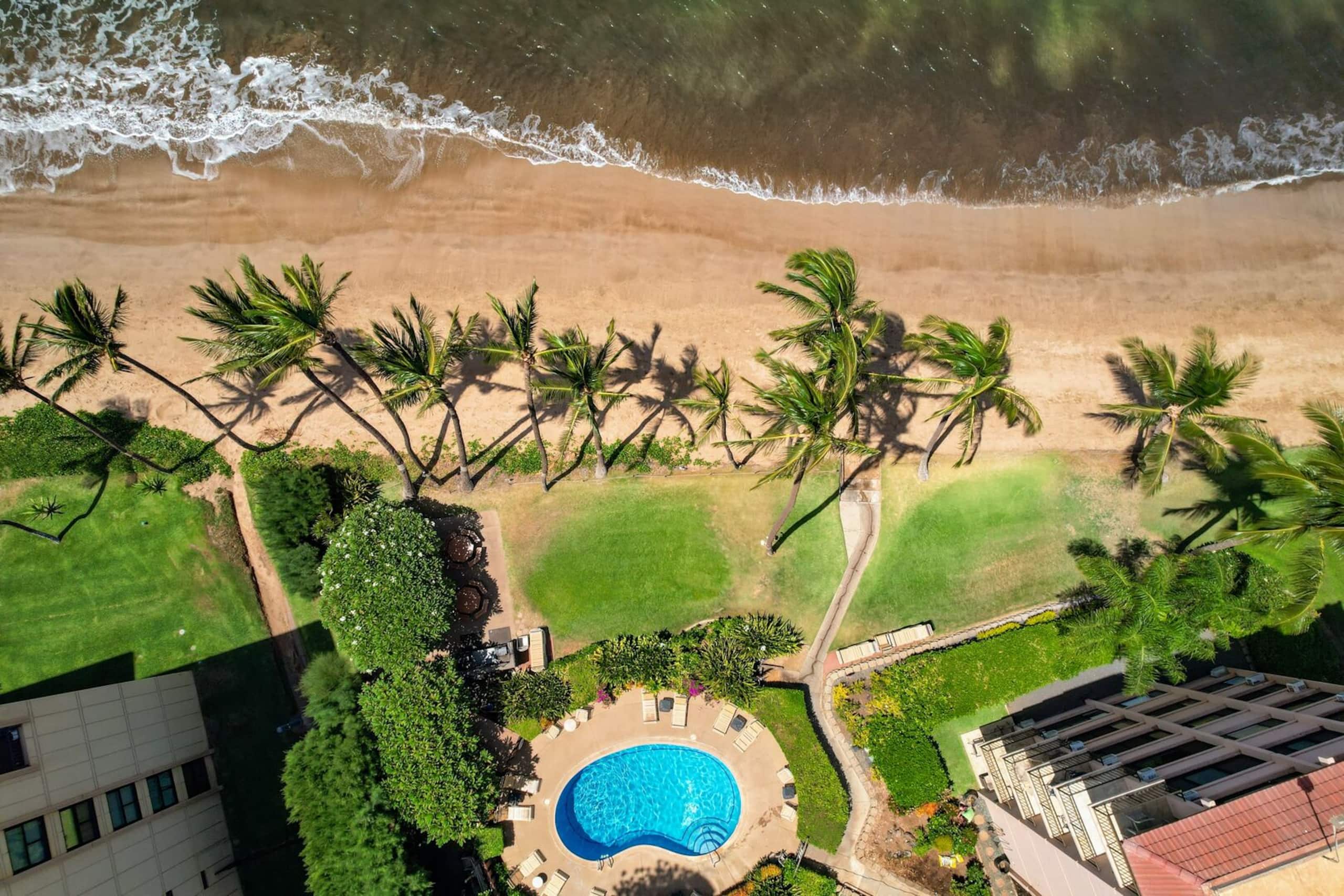 Condo in Kihei · ★4.55 · 1 bedroom · 2 beds · 1 bath - Image 37