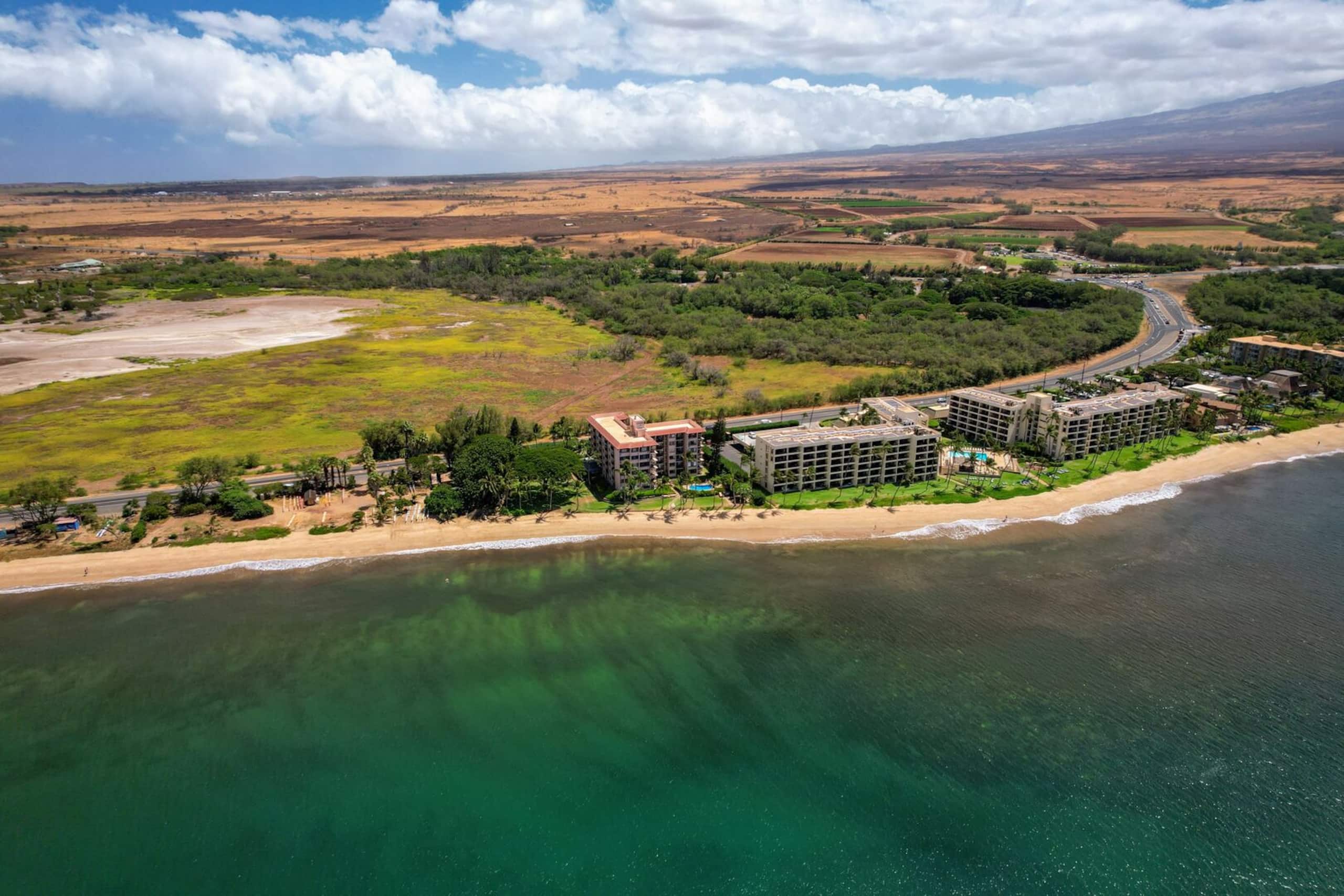 Condo in Kihei · ★4.55 · 1 bedroom · 2 beds · 1 bath - Image 41