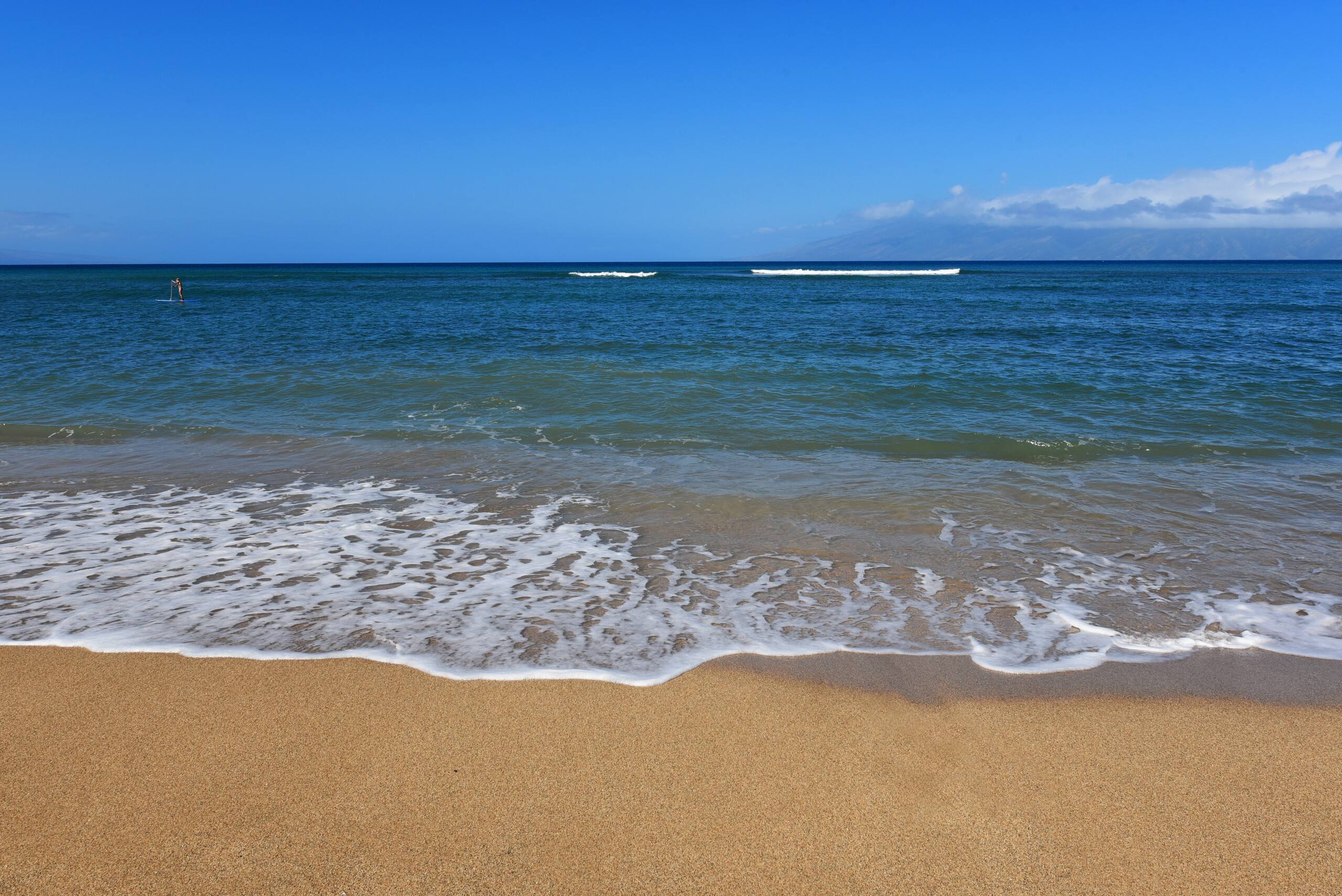 Condo in Lahaina · ★4.5 · 2 bedrooms · 3 beds · 2 baths - Image 29