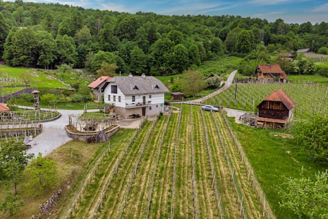 Vineyard Homestead Vrtin - Happy Rentals