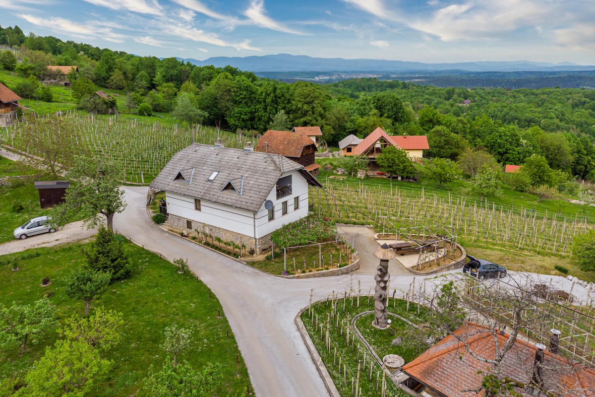 An aerial view captures the holiday house set among expansive vineyards and lush greenery. The property features a spacious façade with a grey shingle roof, complemented by winding pathways and scattered rustic buildings in the scenic landscape of the Bela Krajina region.