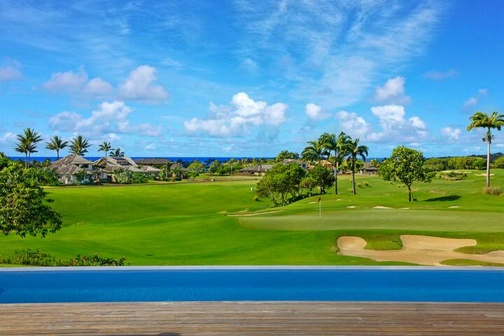 Hale Nani: New Poipu Villa- Pool/Spa + Ocean Views gallery image 4