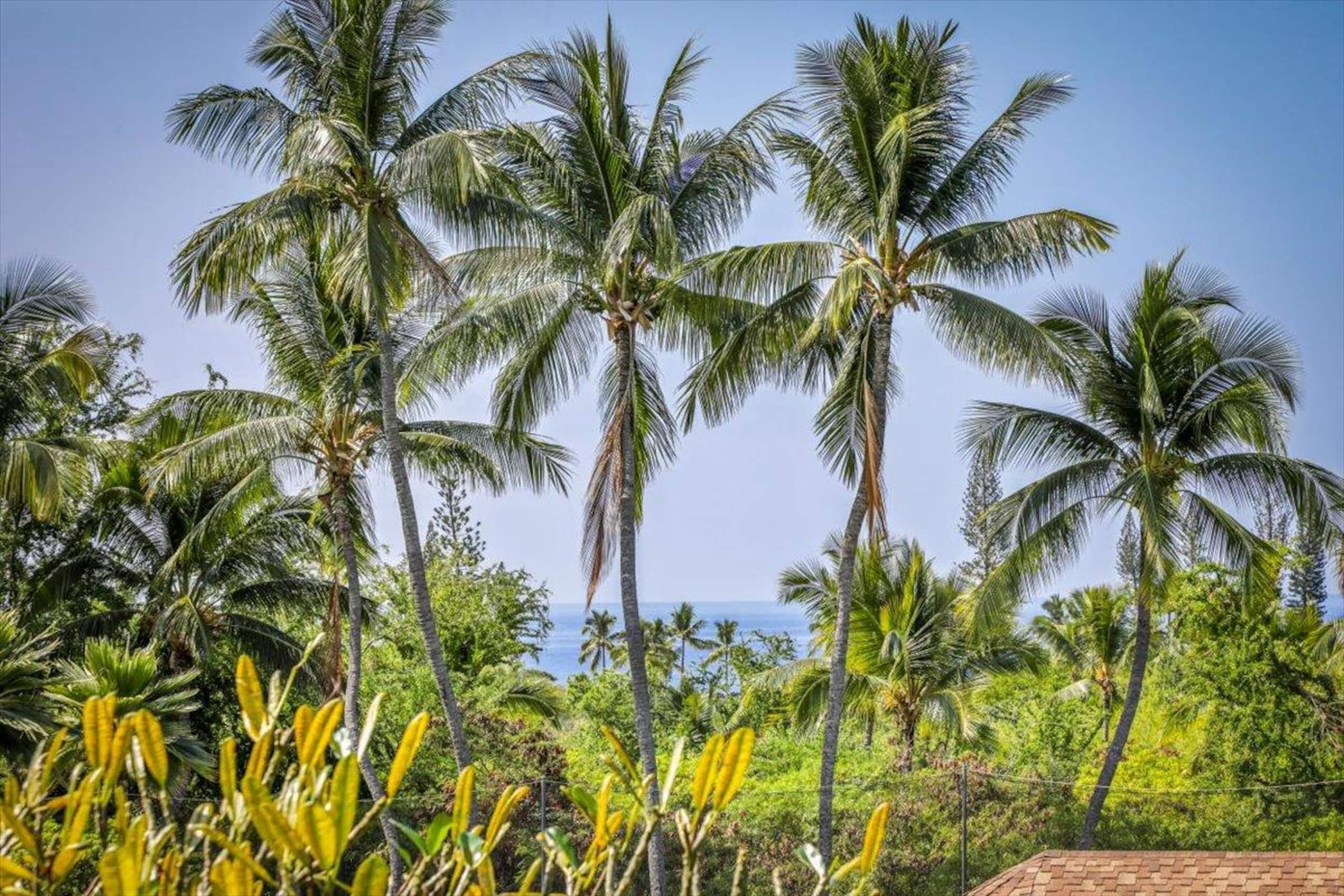 Condo in Kailua-Kona · ★4.5 · 2 bedrooms · 2 beds · 2 private baths - Image 3