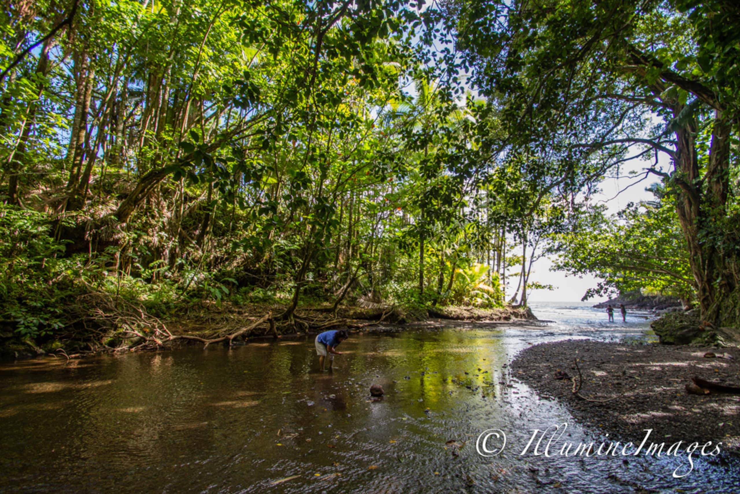 Home in Keaau · ★4.81 · 1 bedroom · 1 bed · 1.5 baths - Image 41