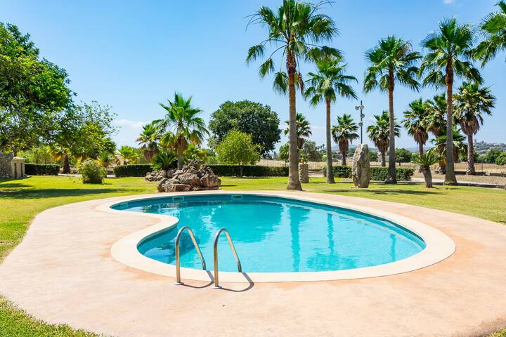 Son Perot gallery image 3