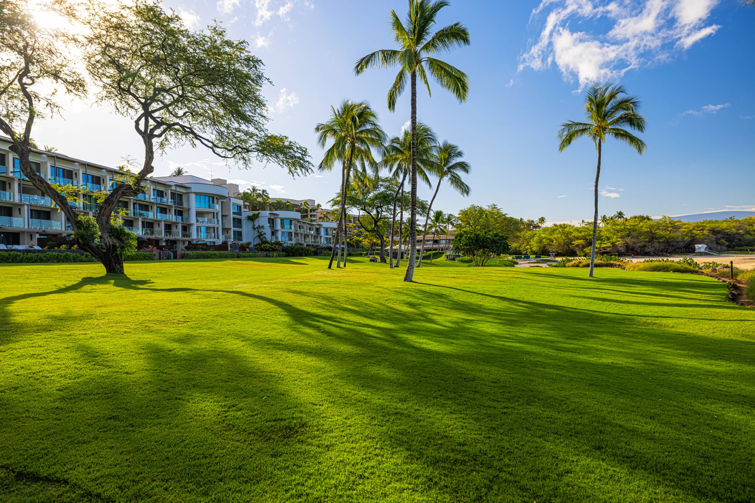 Condo in Waimea · ★5.0 · 2 bedrooms · 4 beds · 2 baths - Image 25
