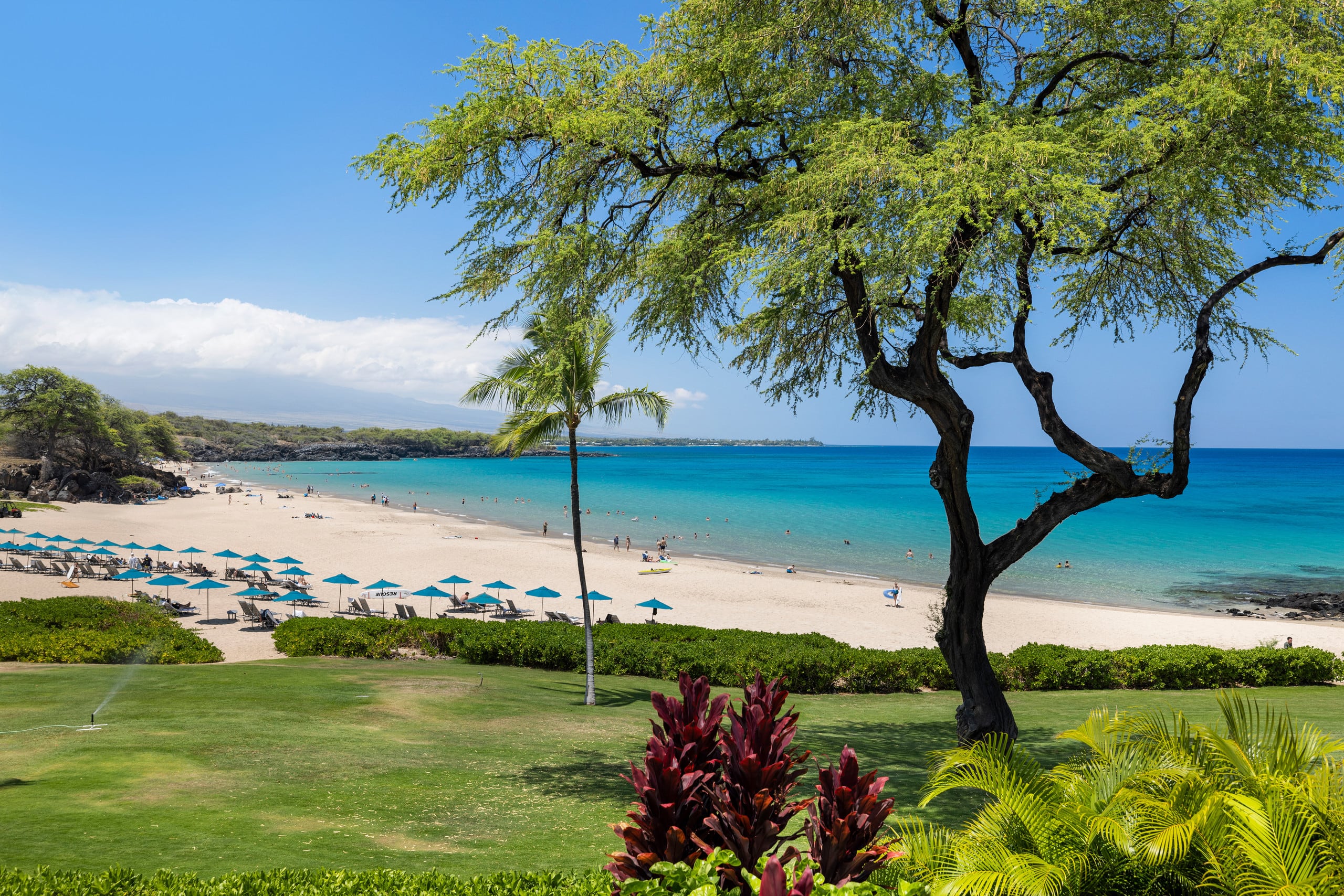 Condo in Waimea · ★5.0 · 2 bedrooms · 4 beds · 2 baths - Image 4