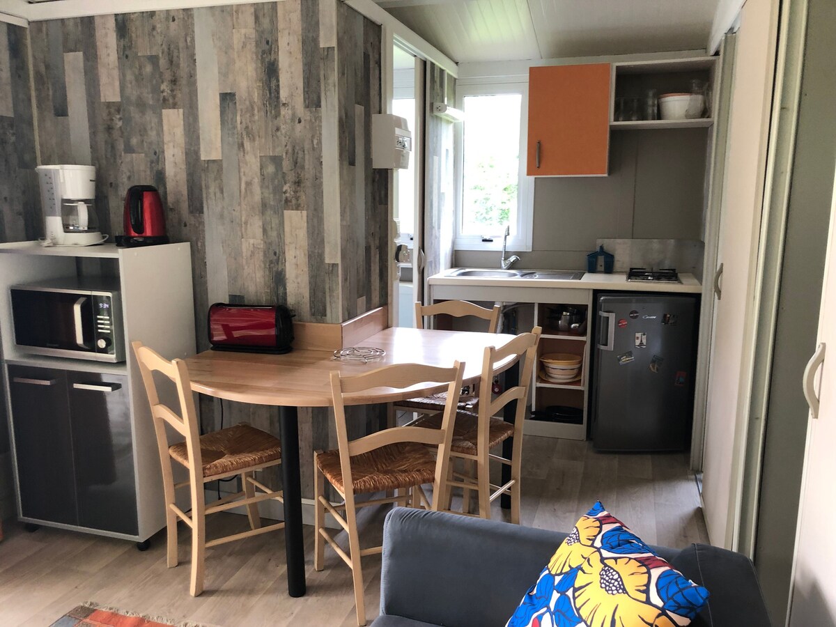 A modern kitchen area is depicted, featuring a dining table with four chairs, a small refrigerator, microwave, gas hob, and various kitchen cabinets. Natural light filters through nearby windows, highlighting the wood paneling and neutral tones throughout the space.