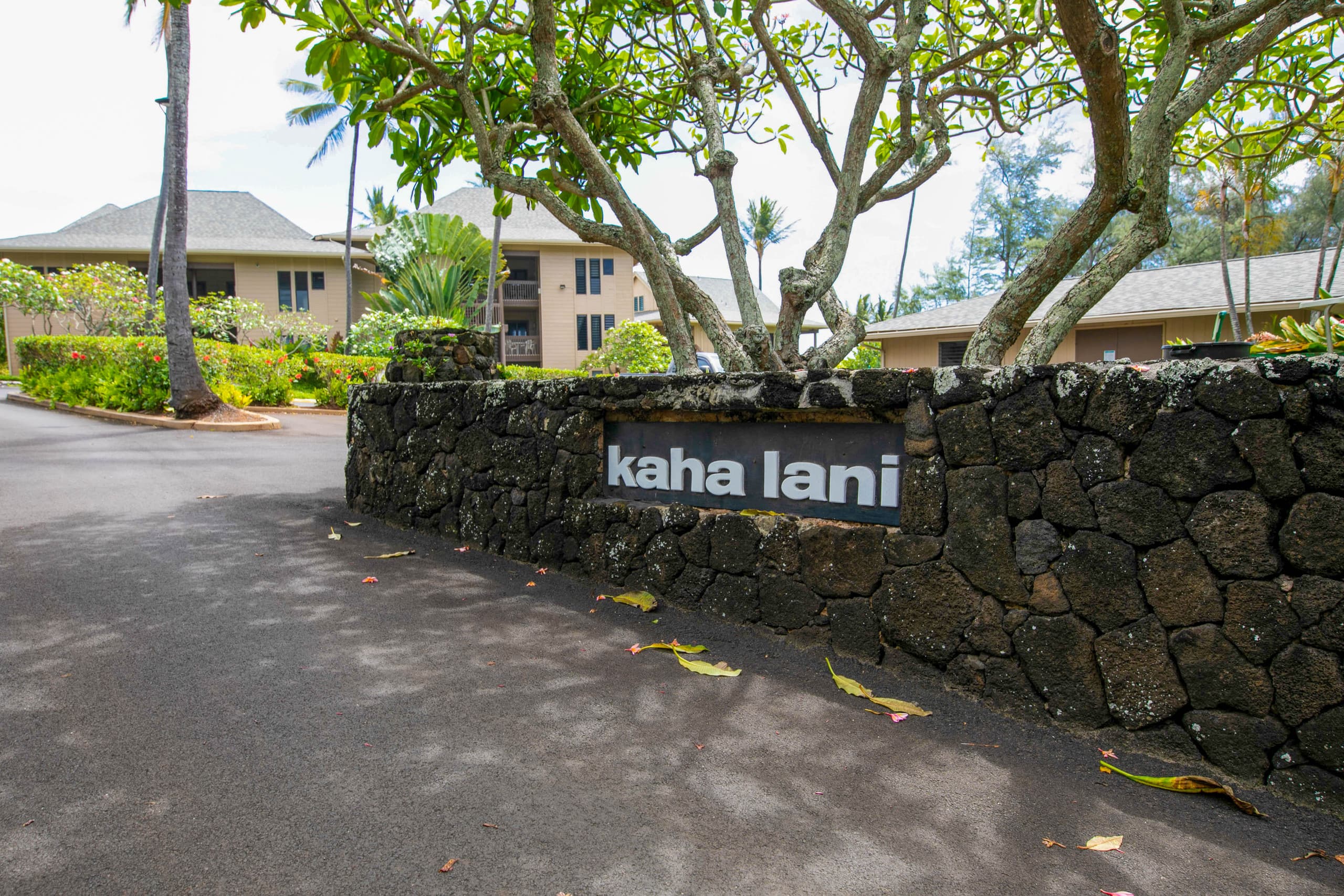 Kaha Lani 123 Oceanview Lanai Beach Access - Photo 21