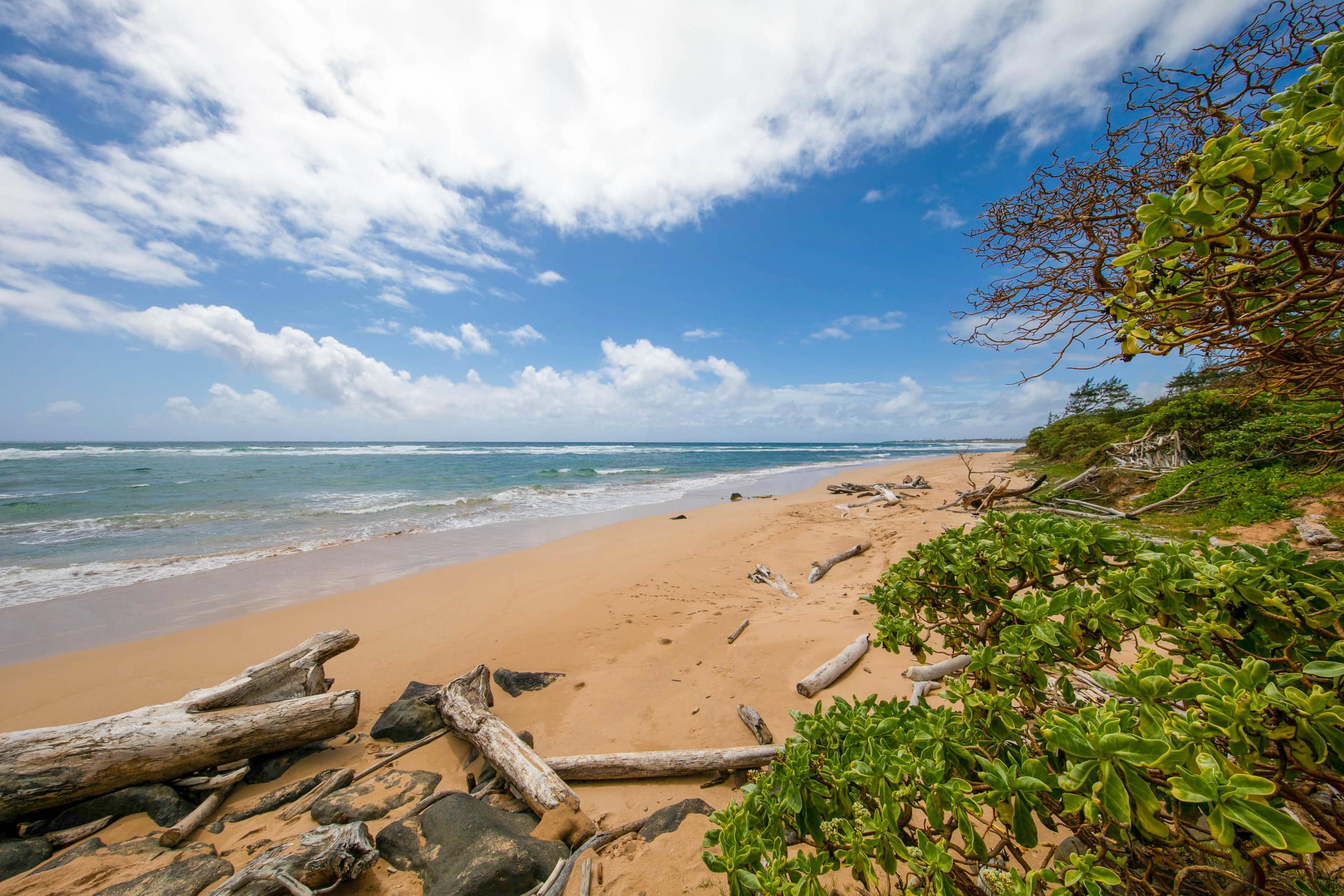Kaha Lani 123 Oceanview Lanai Beach Access - Photo 38