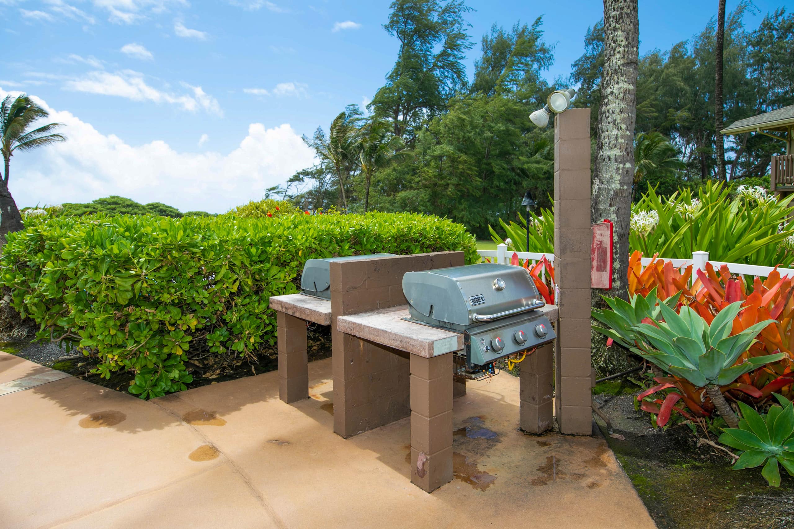 Kaha Lani 123 Oceanview Lanai Beach Access - Photo 23