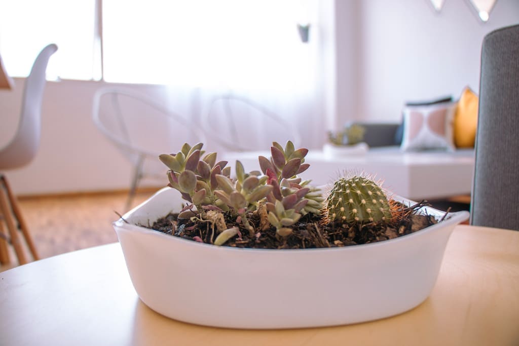 Propiedad de Airbnb exitosa: 5-Star 4BR Condo Heart of Condesa en Hipódromo Condesa