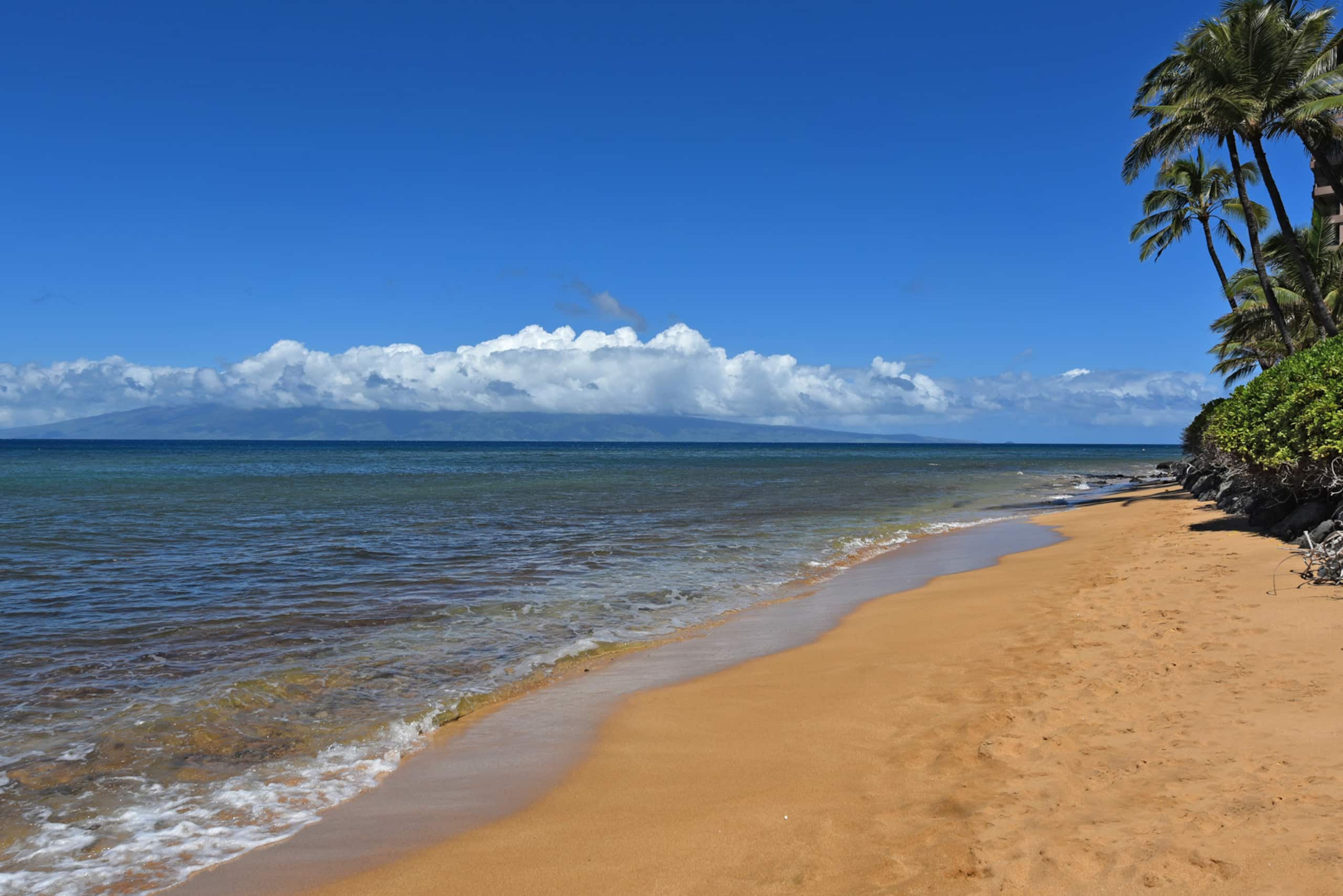 Condo in Lahaina · ★4.0 · Studio · 1 bed · 1 bath - Image 25