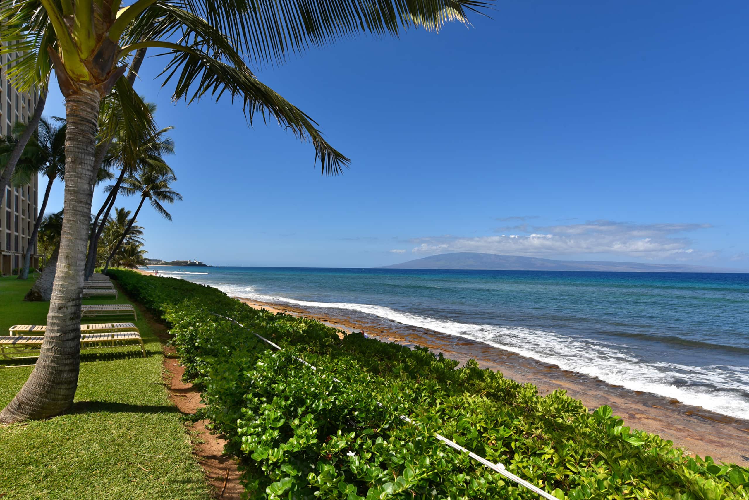 Condo in Lahaina · ★4.0 · Studio · 1 bed · 1 bath - Image 28