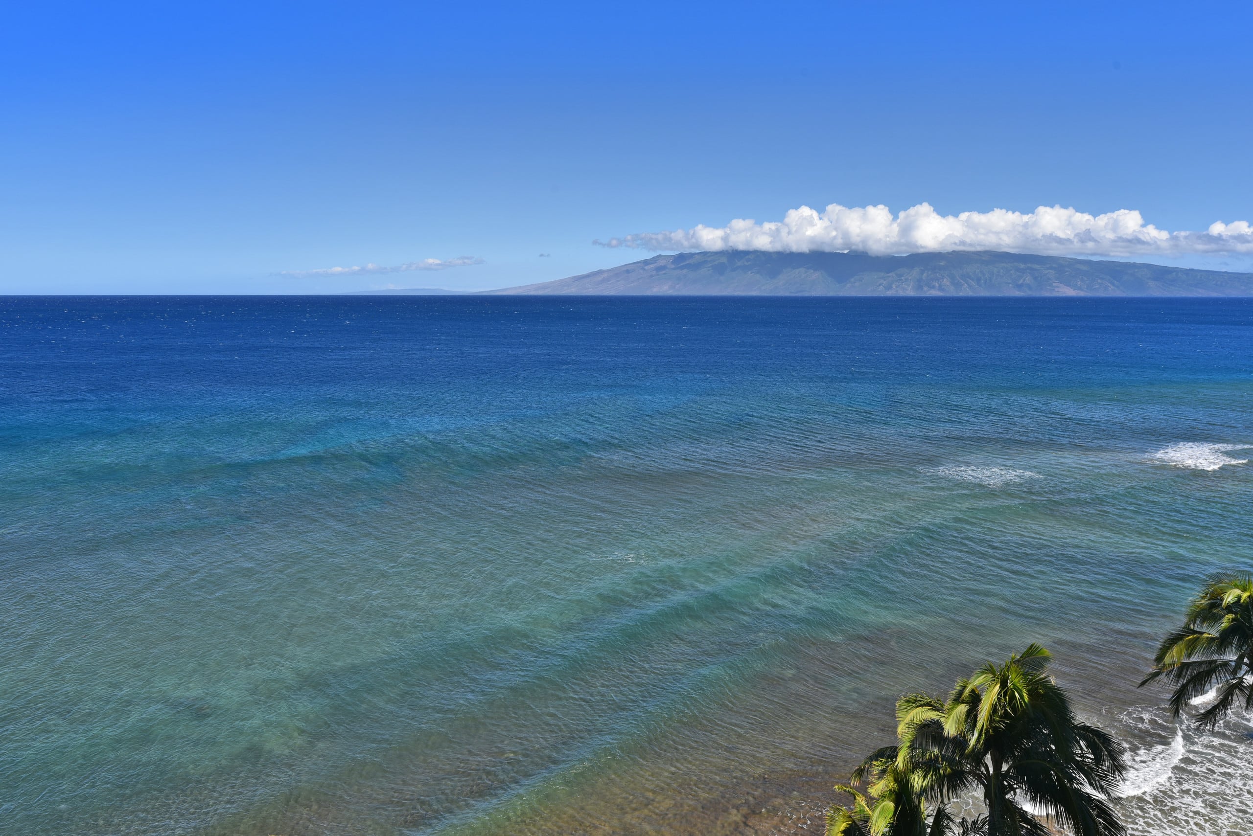 Condo in Lahaina · ★4.0 · Studio · 1 bed · 1 bath - Image 40