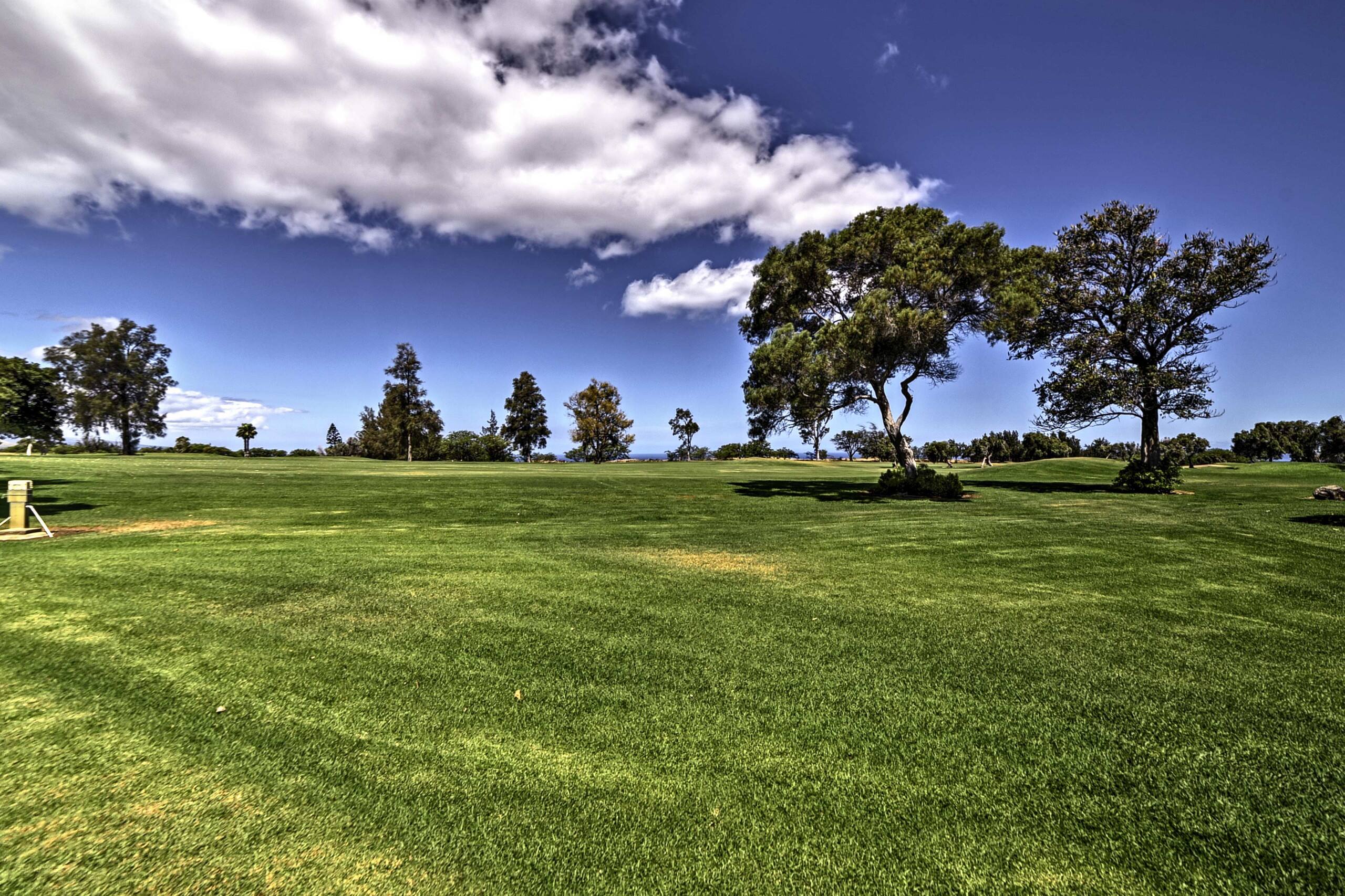 Chic Waikoloa Condo w/ Lanai + Complex Pools - Photo 35