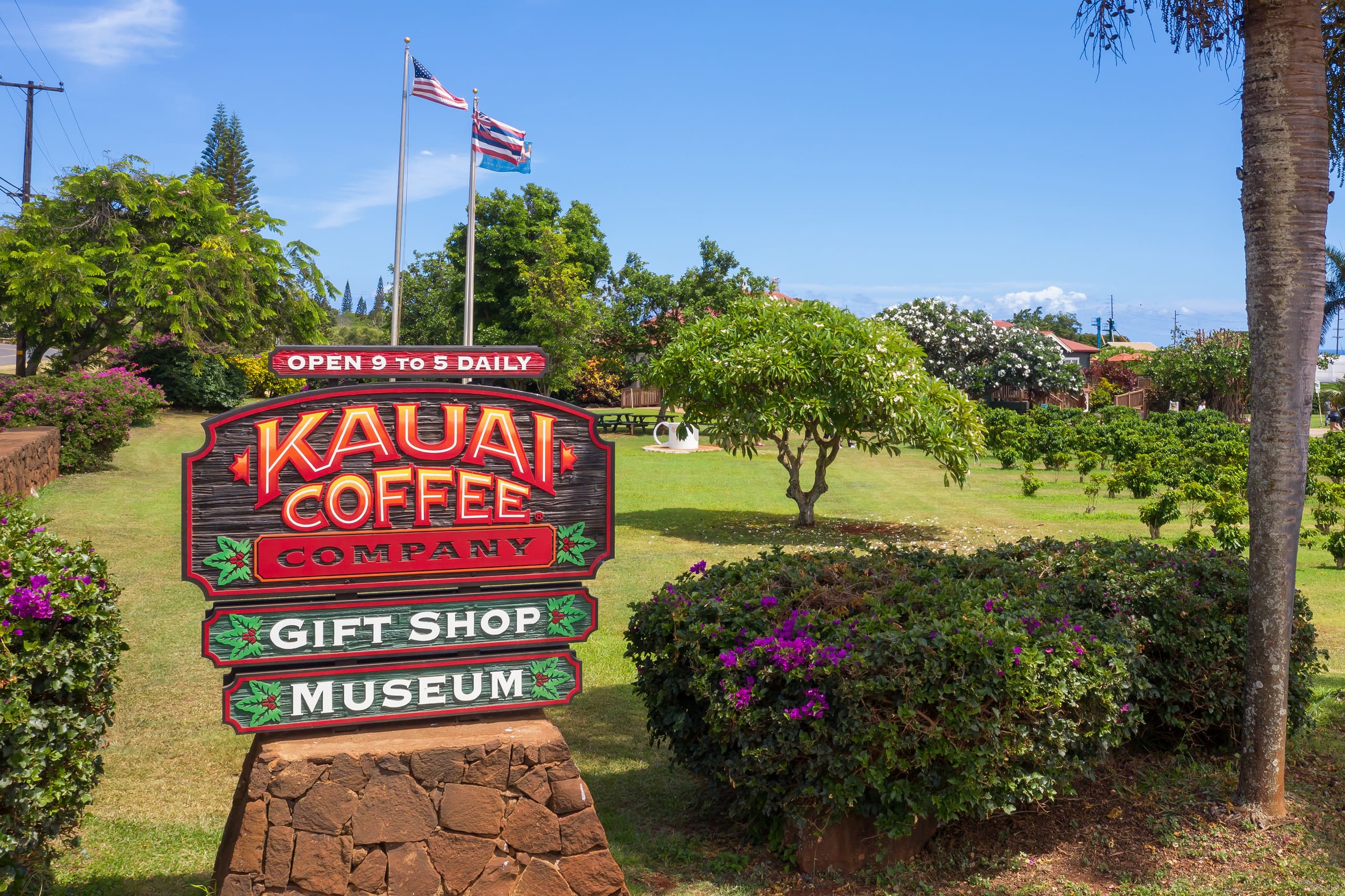 Home in Koloa · ★4.89 · 4 bedrooms · 5 beds · 4.5 baths - Photo 59