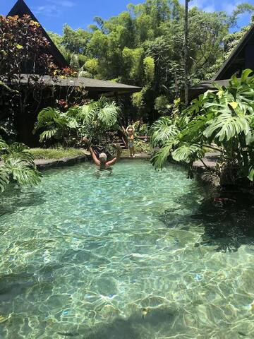 Gated botanical garden retreat with private lake gallery image 4