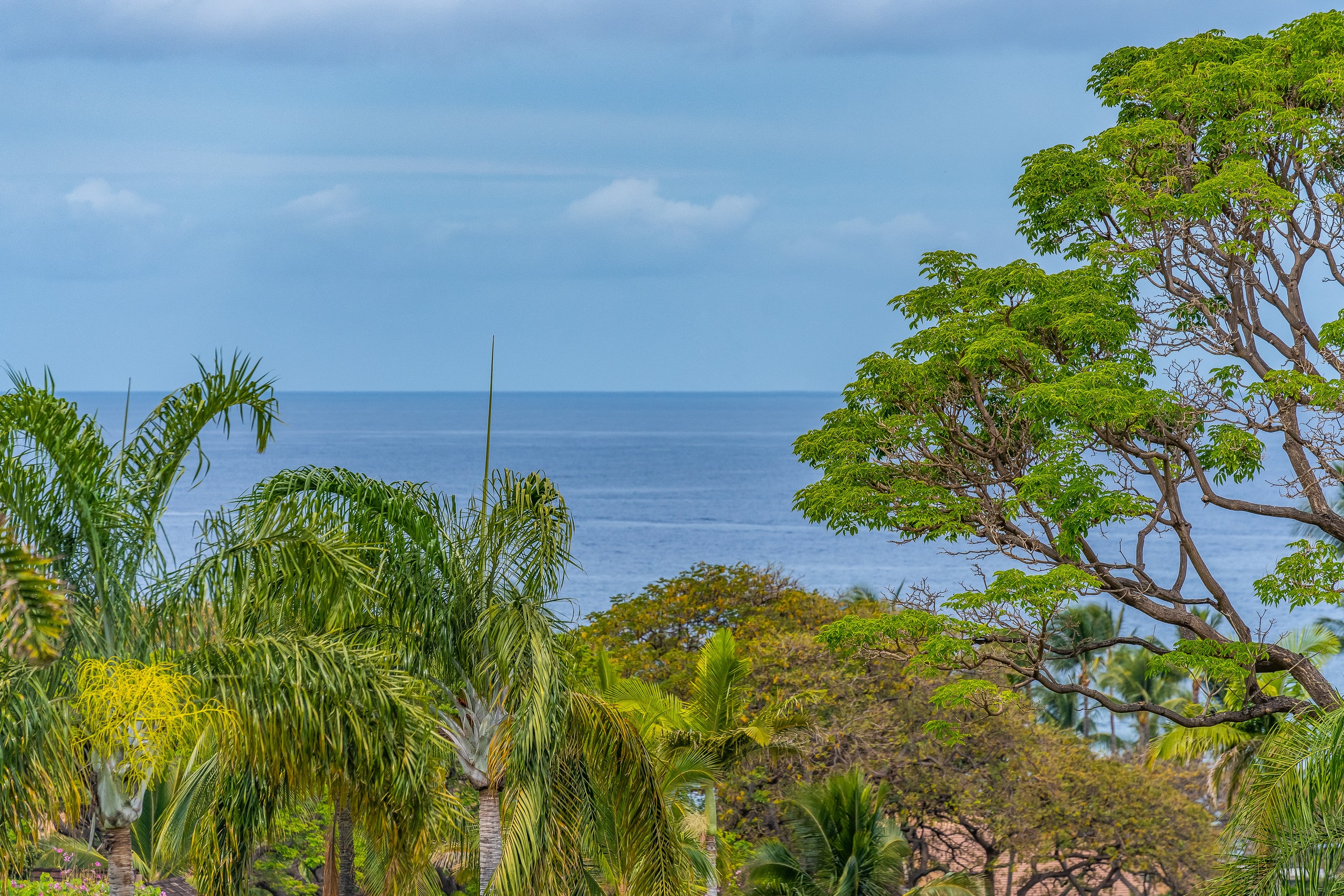 Condo in Kihei · ★4.95 · 2 bedrooms · 4 beds · 2 baths - Image 39