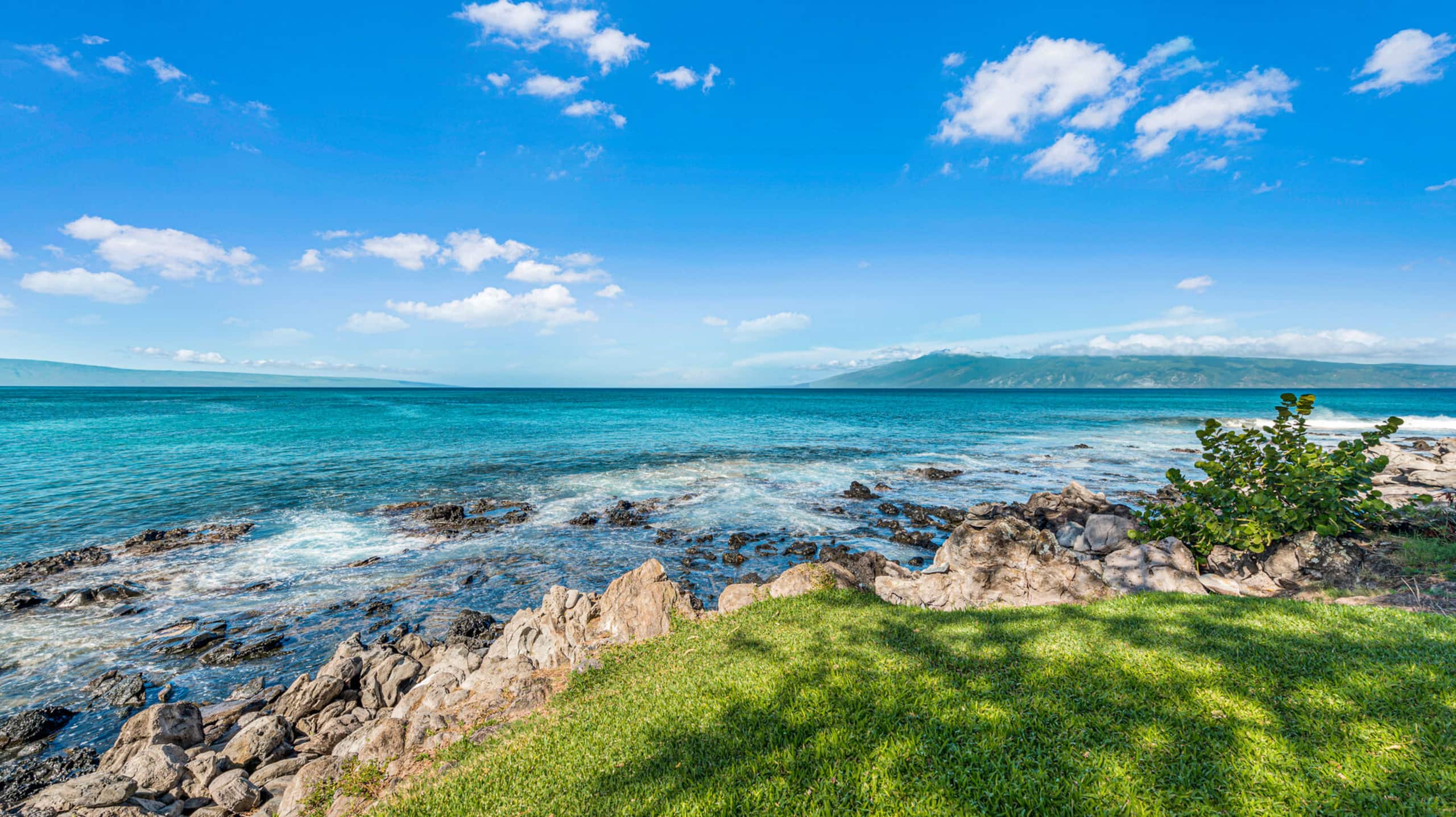 Condo in Lahaina · ★4.88 · 1 bedroom · 2 beds · 1 bath - Image 20