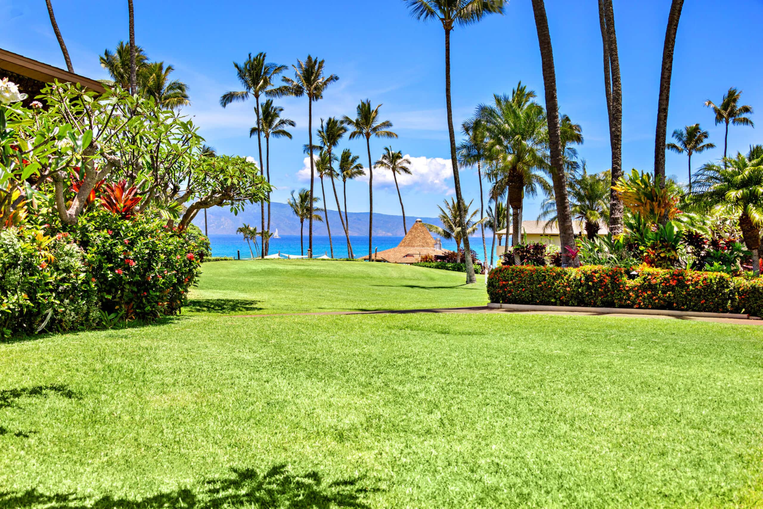Condo in Lahaina · ★4.5 · 1 bedroom · 3 beds · 1 private bath - Image 1
