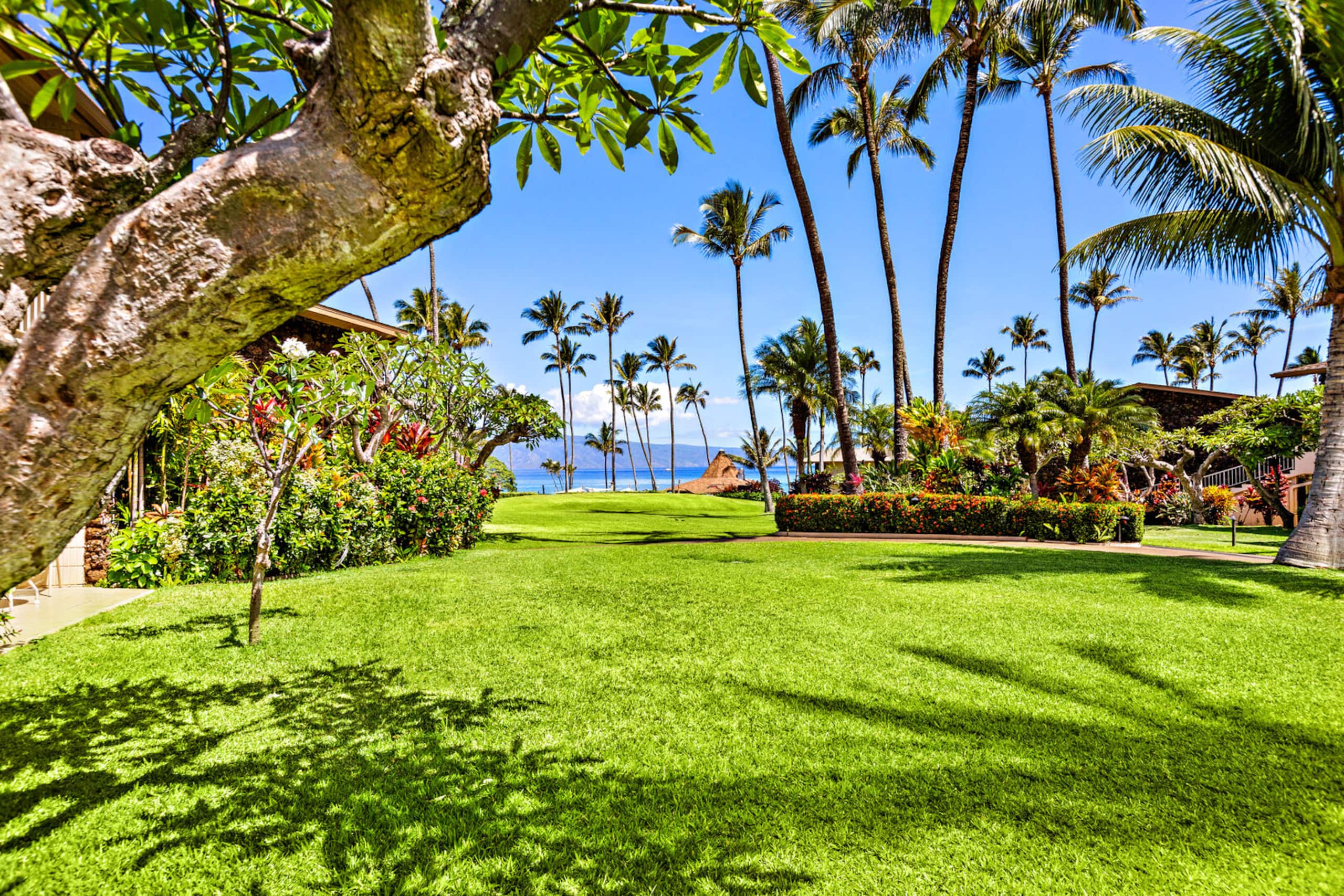 Condo in Lahaina · ★4.5 · 1 bedroom · 3 beds · 1 private bath - Image 2