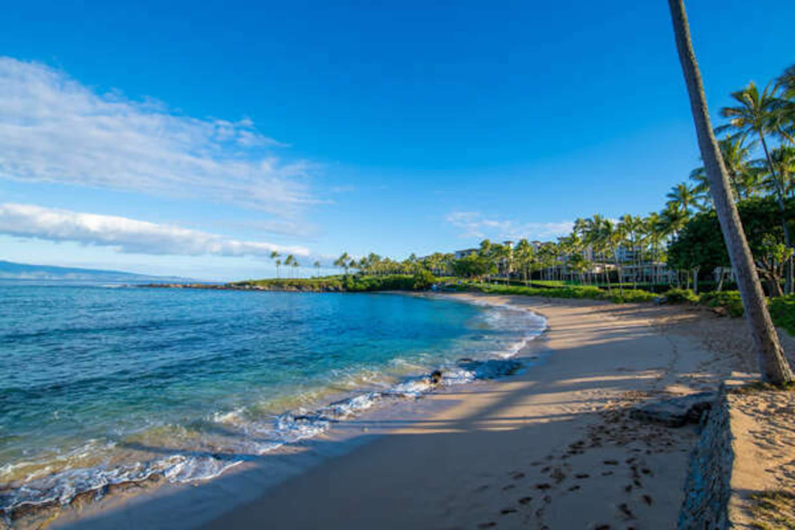 Condo in Lahaina · ★4.5 · 1 bedroom · 3 beds · 1 private bath - Image 26