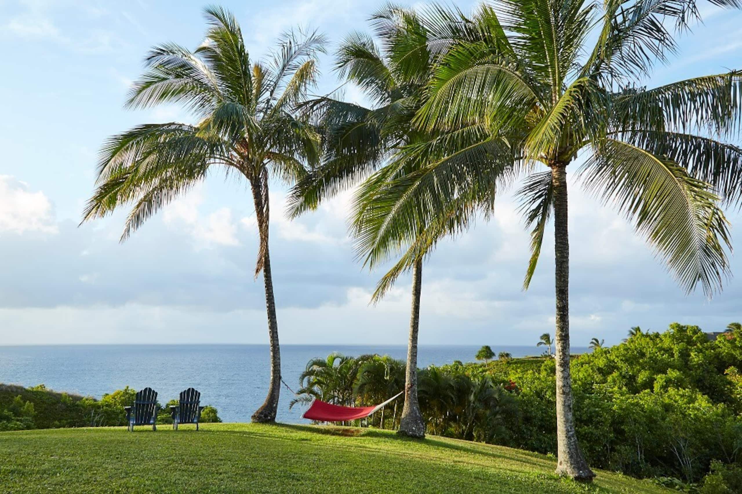 Condo in Princeville · ★4.89 · 2 bedrooms · 2 beds · 2 private baths - Image 30