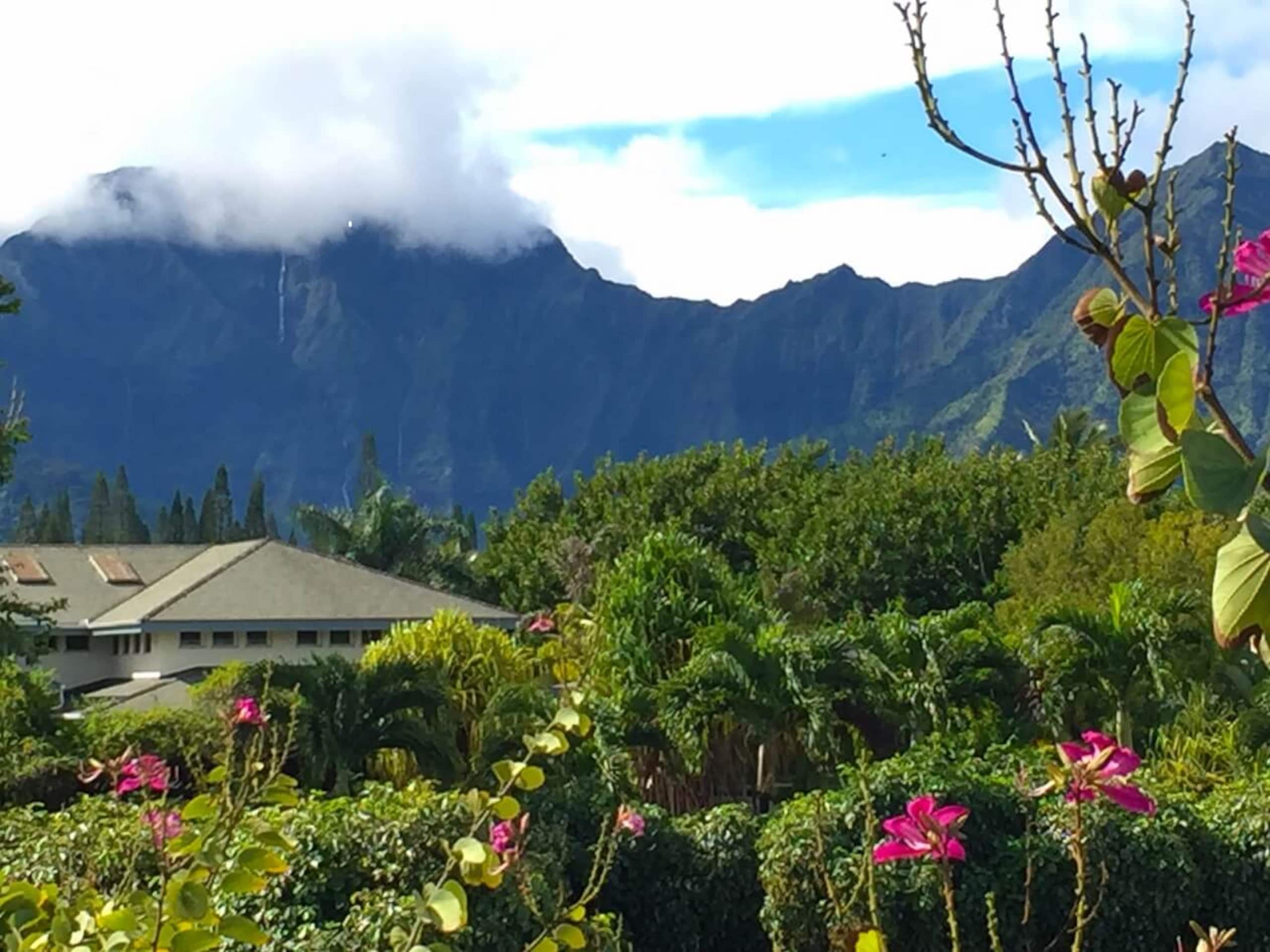 Condo in Princeville · ★4.89 · 2 bedrooms · 2 beds · 2 private baths - Image 21