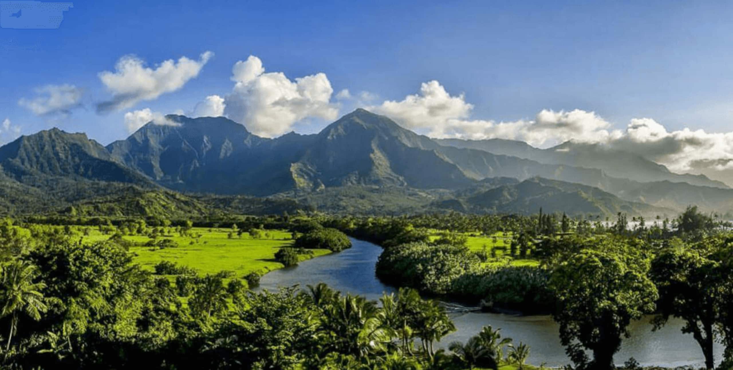 Condo in Princeville · ★4.89 · 2 bedrooms · 2 beds · 2 private baths - Image 12