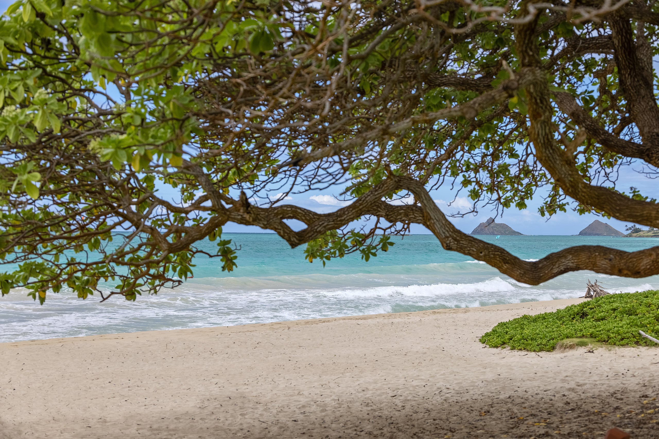 Home in Kailua · ★4.89 · 4 bedrooms · 4 beds · 4 private baths - Image 30