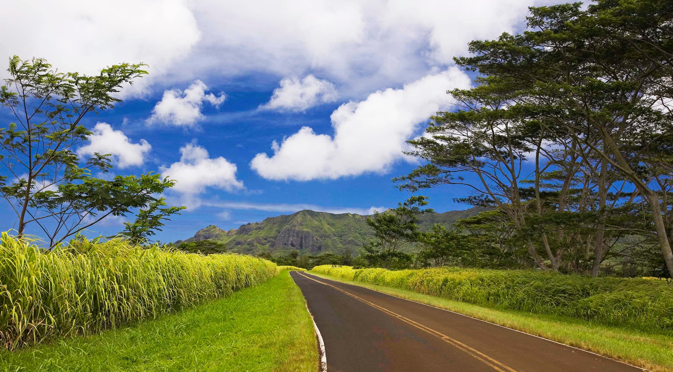 Condo in Koloa · ★4.64 · 2 bedrooms · 3 beds · 2 baths - Image 26