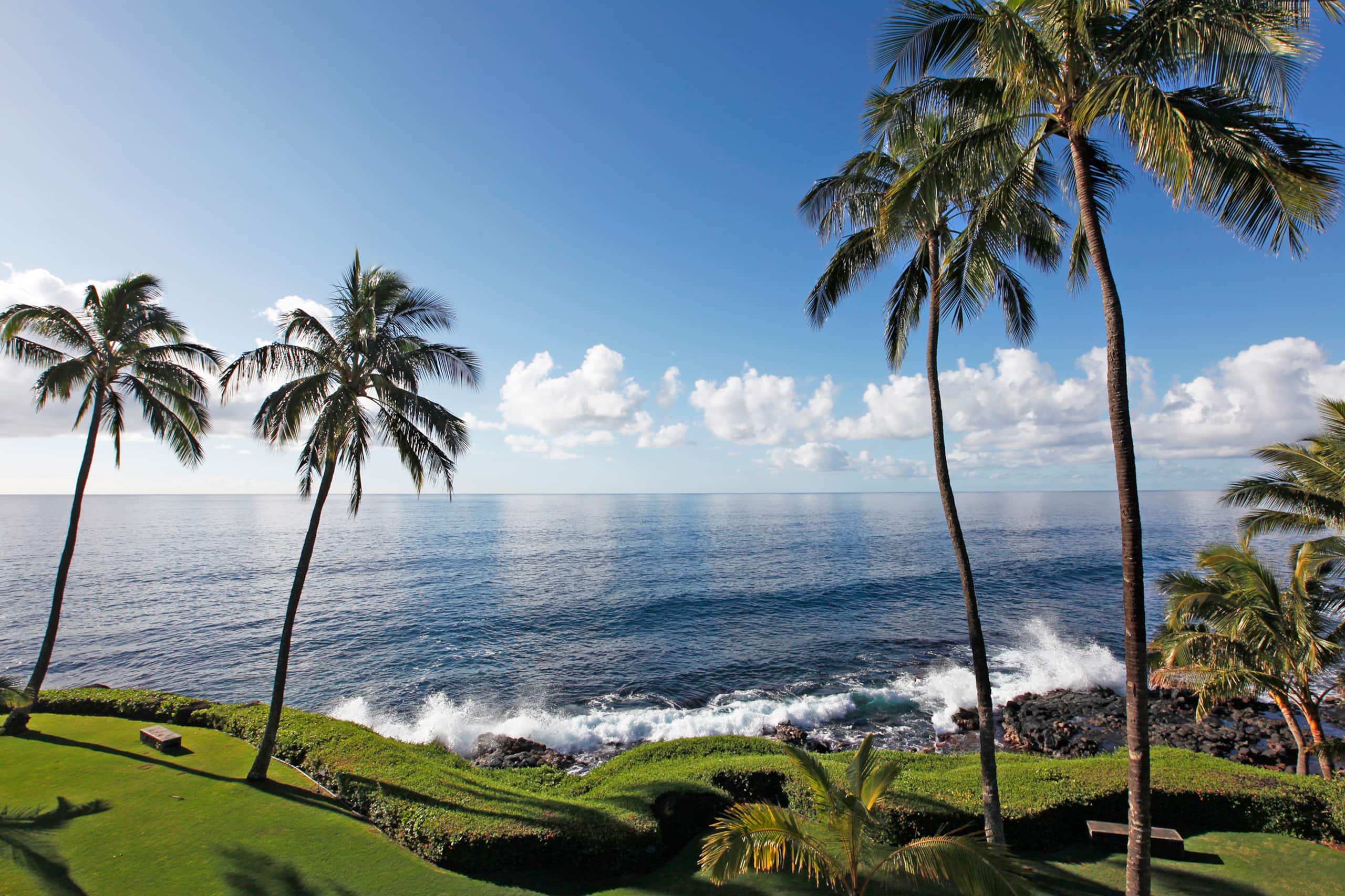 Condo in Koloa · ★4.64 · 2 bedrooms · 3 beds · 2 baths - Image 30