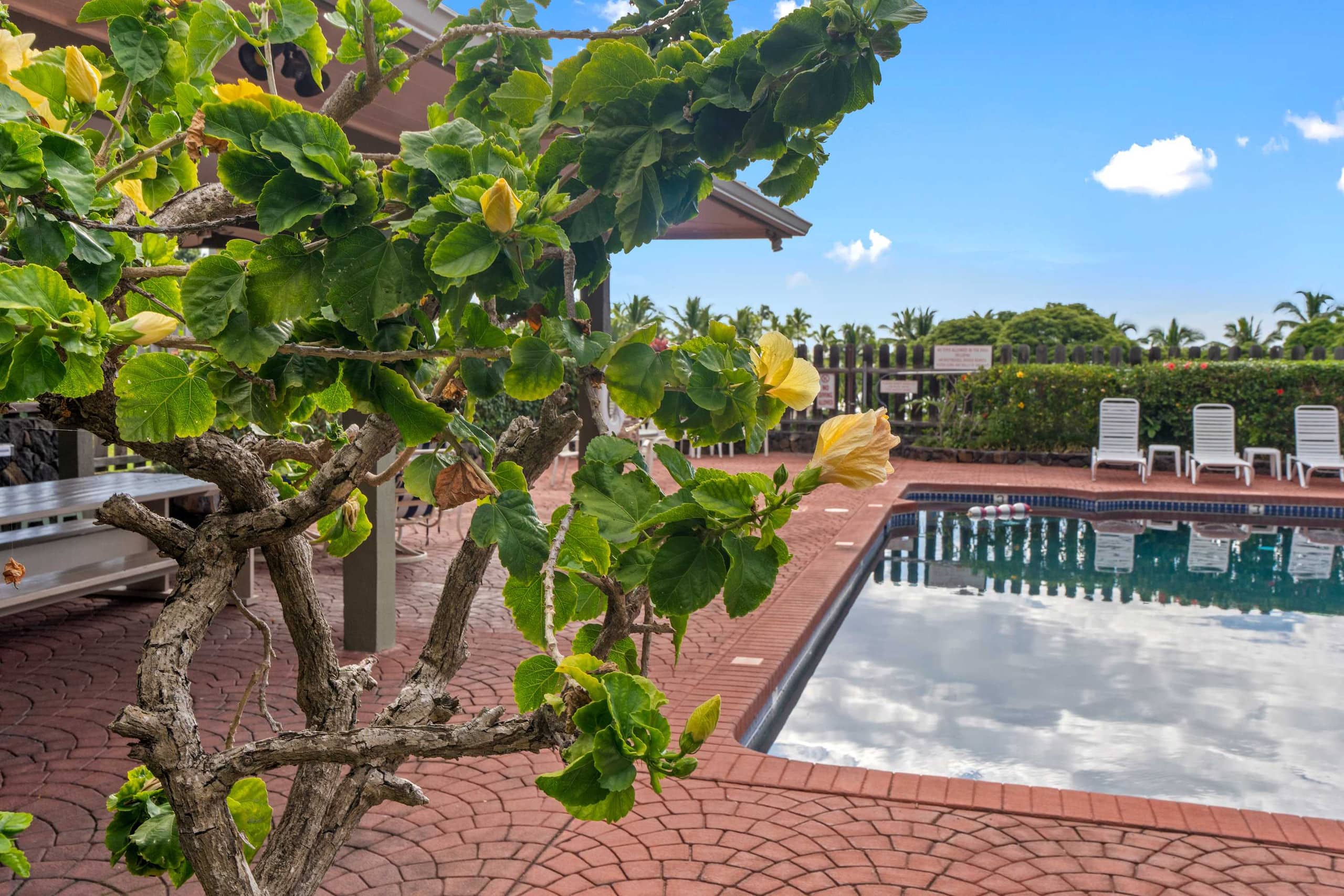 Condo in Kailua-Kona · ★4.9 · 2 bedrooms · 4 beds · 2 private baths - Image 60